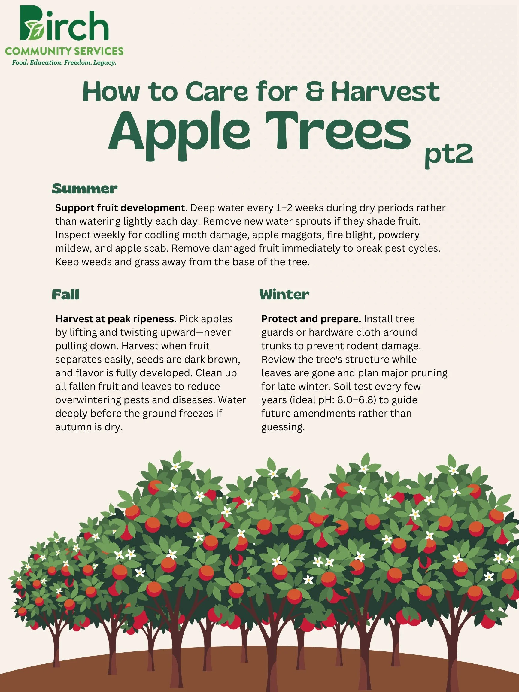 Apple Trees p2.png
