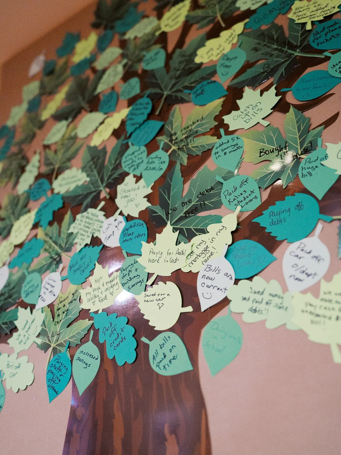 Rooted In 92-094.jpg