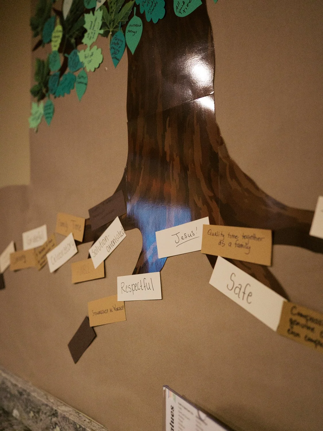 Rooted In 92-095.jpg