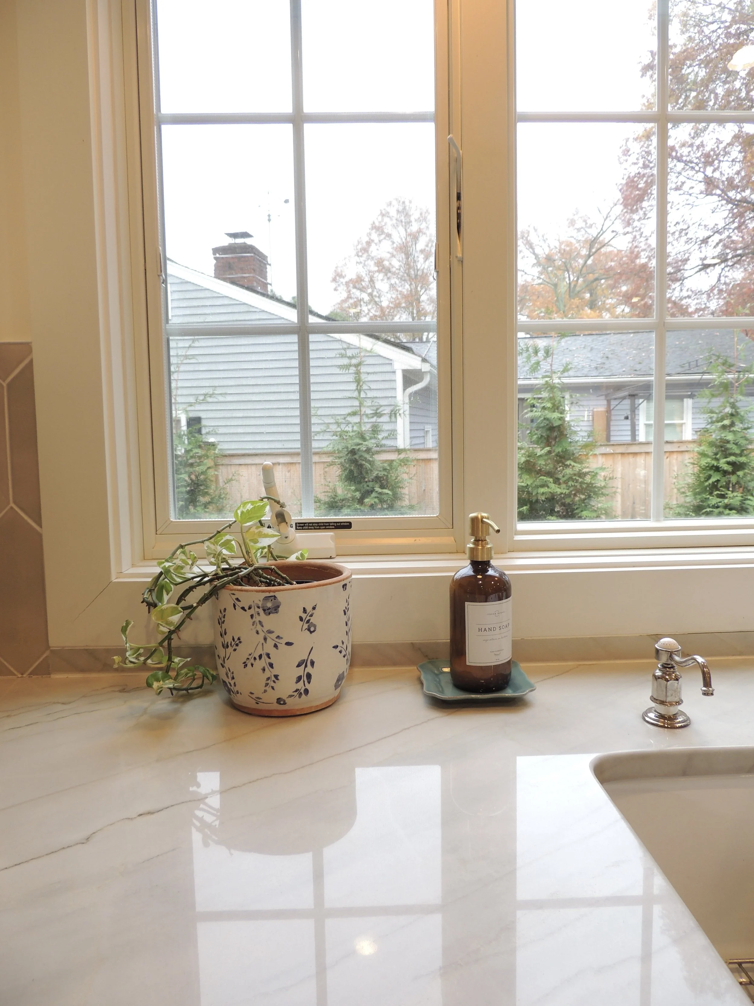 Kitchen window sill with a potted plant, hand soap dispenser on a dish, and a kitchen sink faucet.
