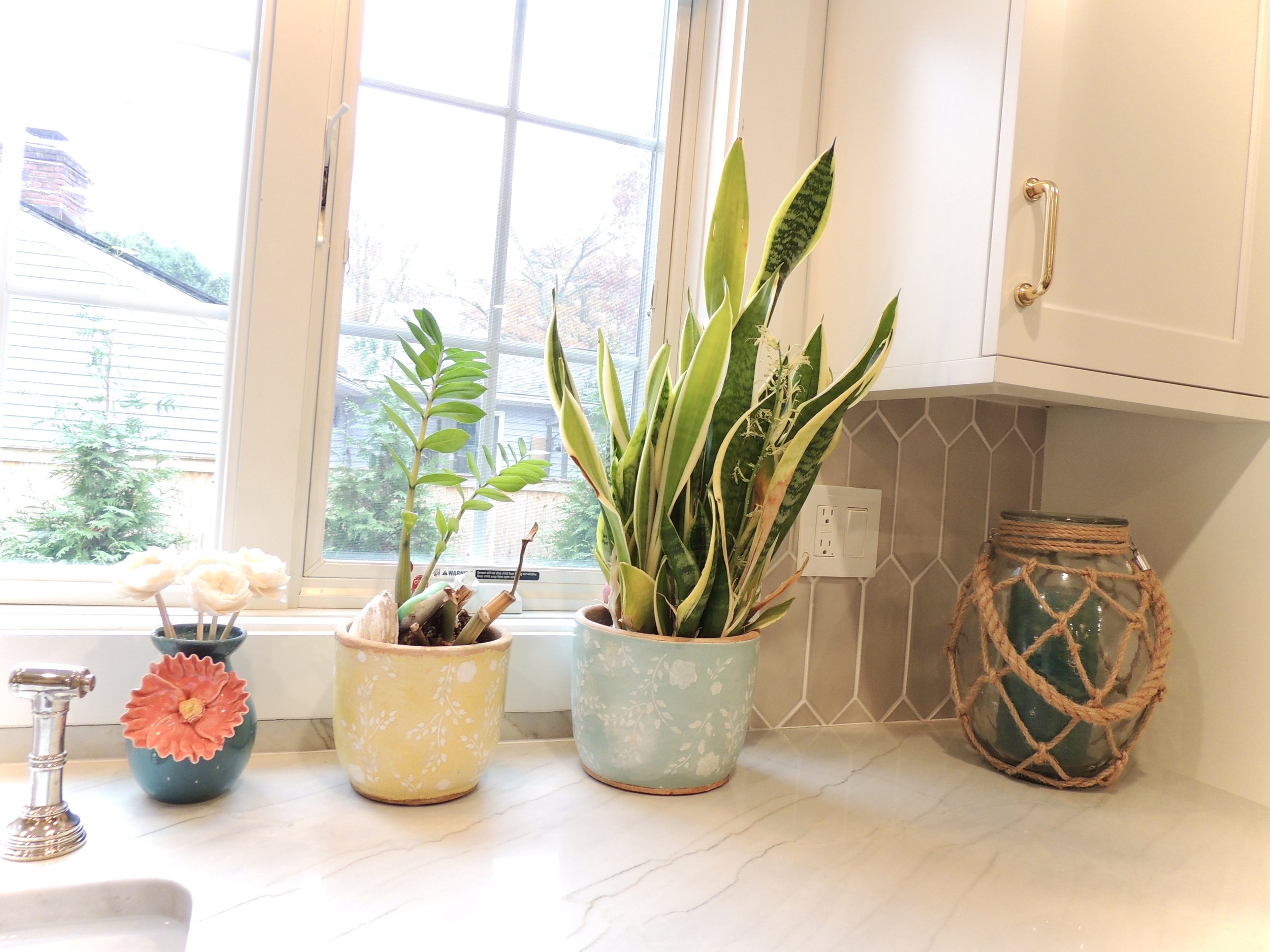 Collection of potted plants on kitchen windowsill with a view of a residential neighborhood outside.