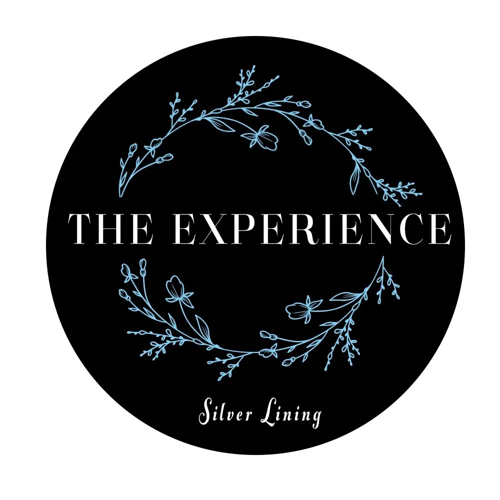 THE EXPERIENCE SILVER LINING