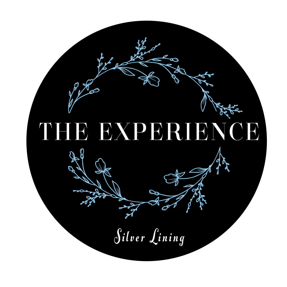 THE EXPERIENCE SILVER LINING