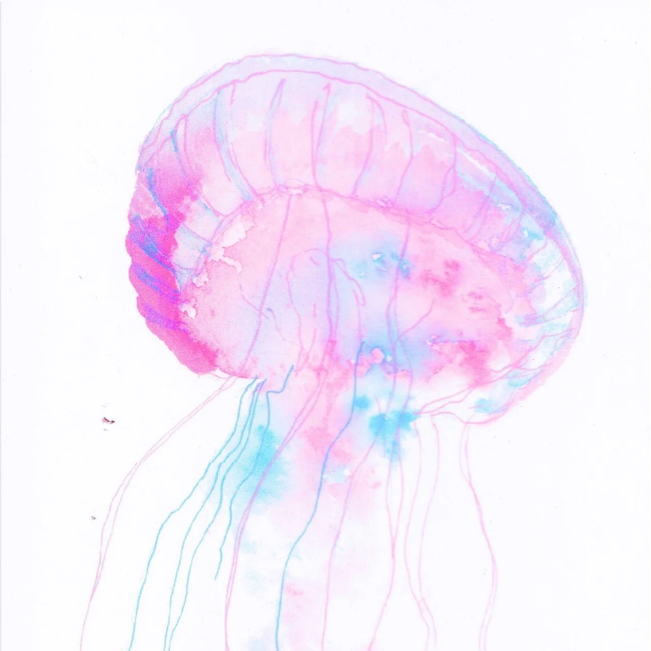 2026_Greeting-Cards_2 [Web-Detail] Large.jpeg