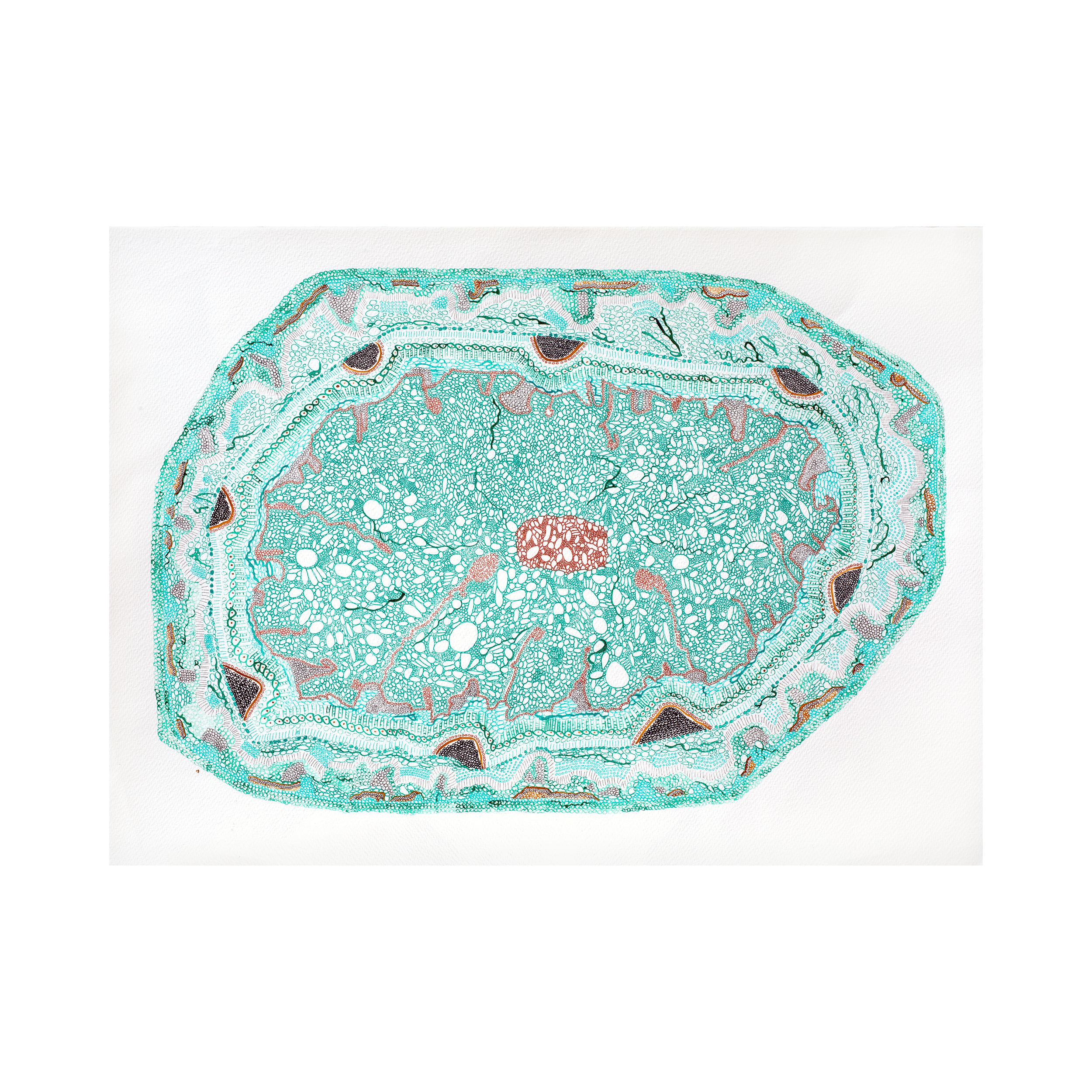 Cell (76 x 56cm)