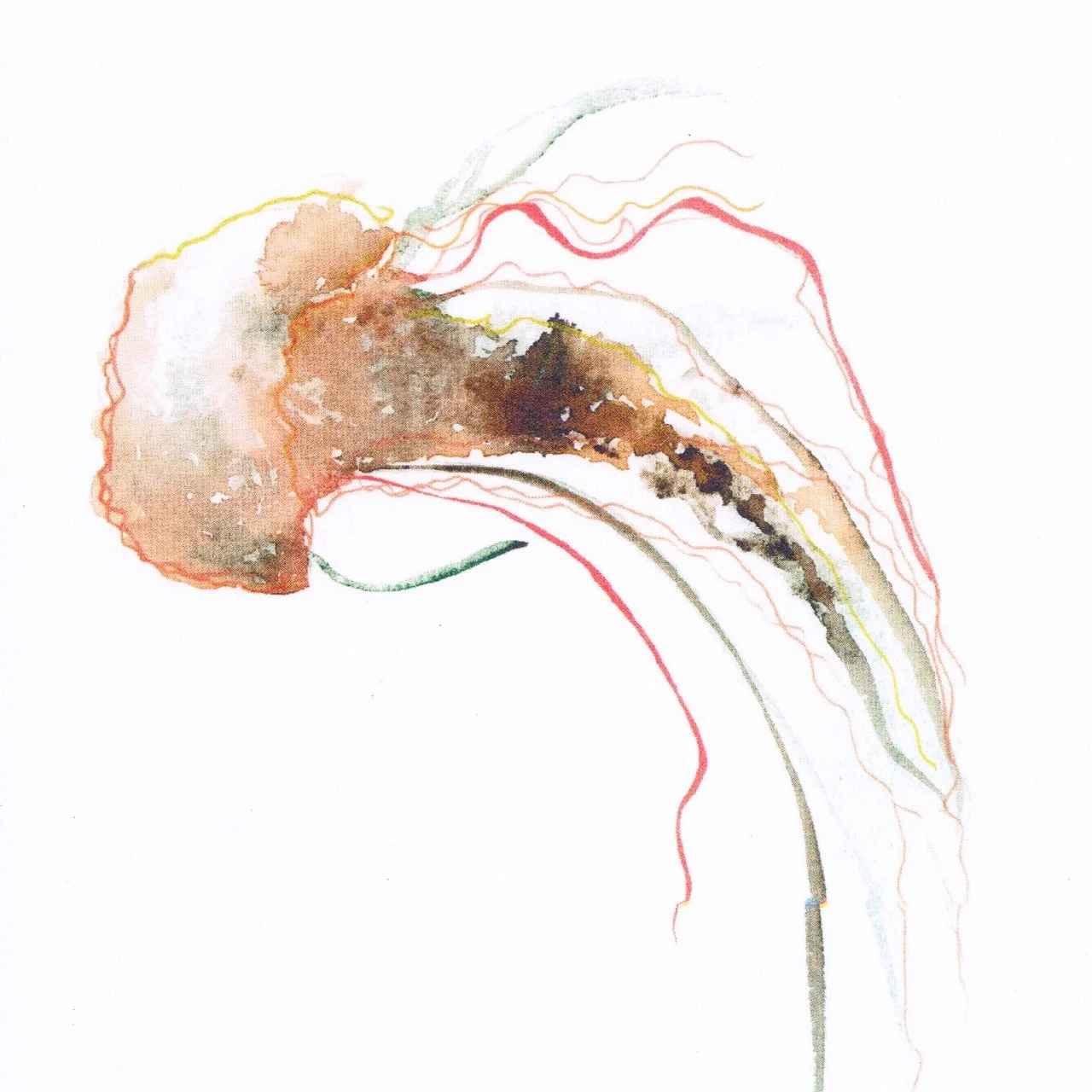 2026_Greeting-Cards_6 [Web-Detail] Large.jpeg