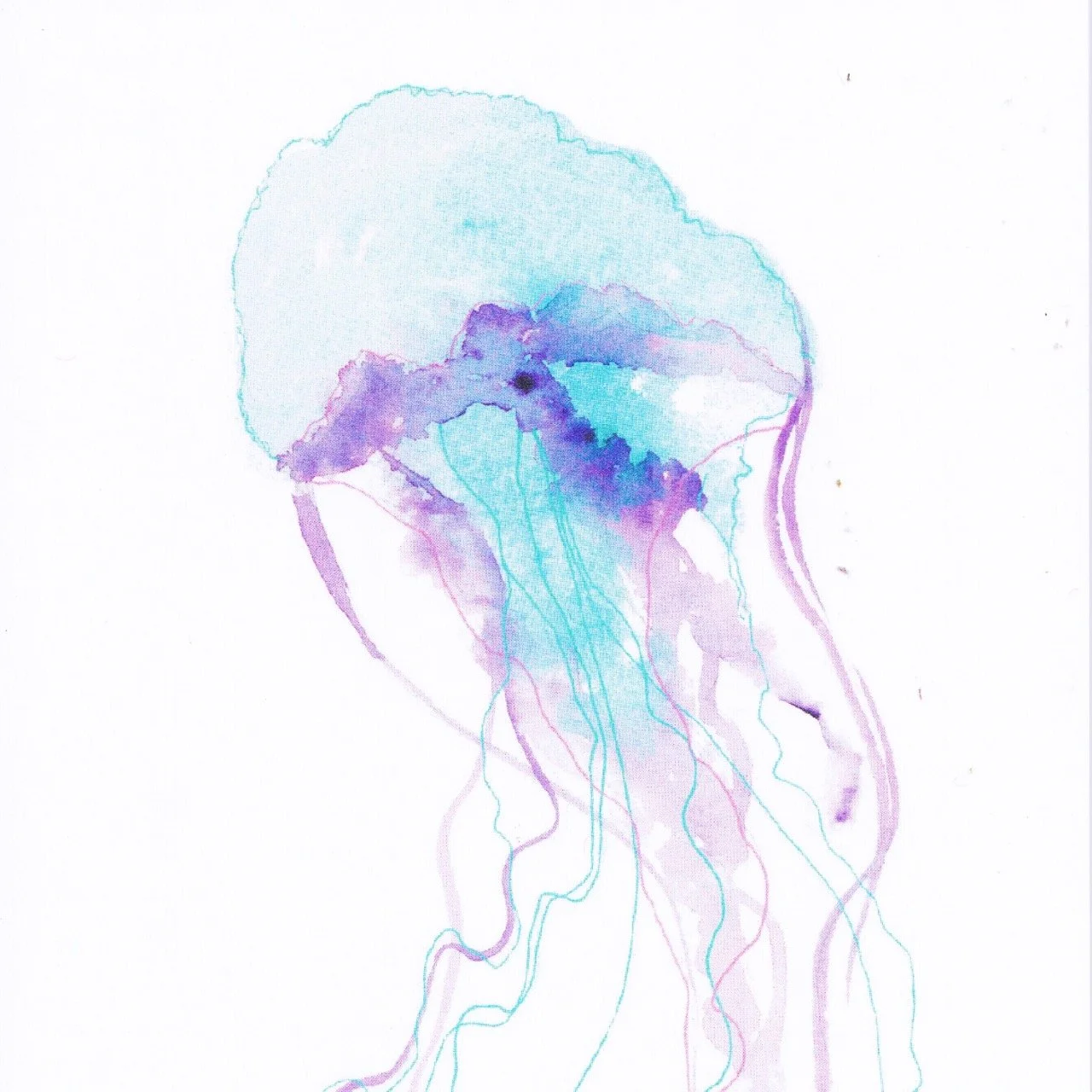 2026_Greeting-Cards_4 [Web-Detail] Large.jpeg