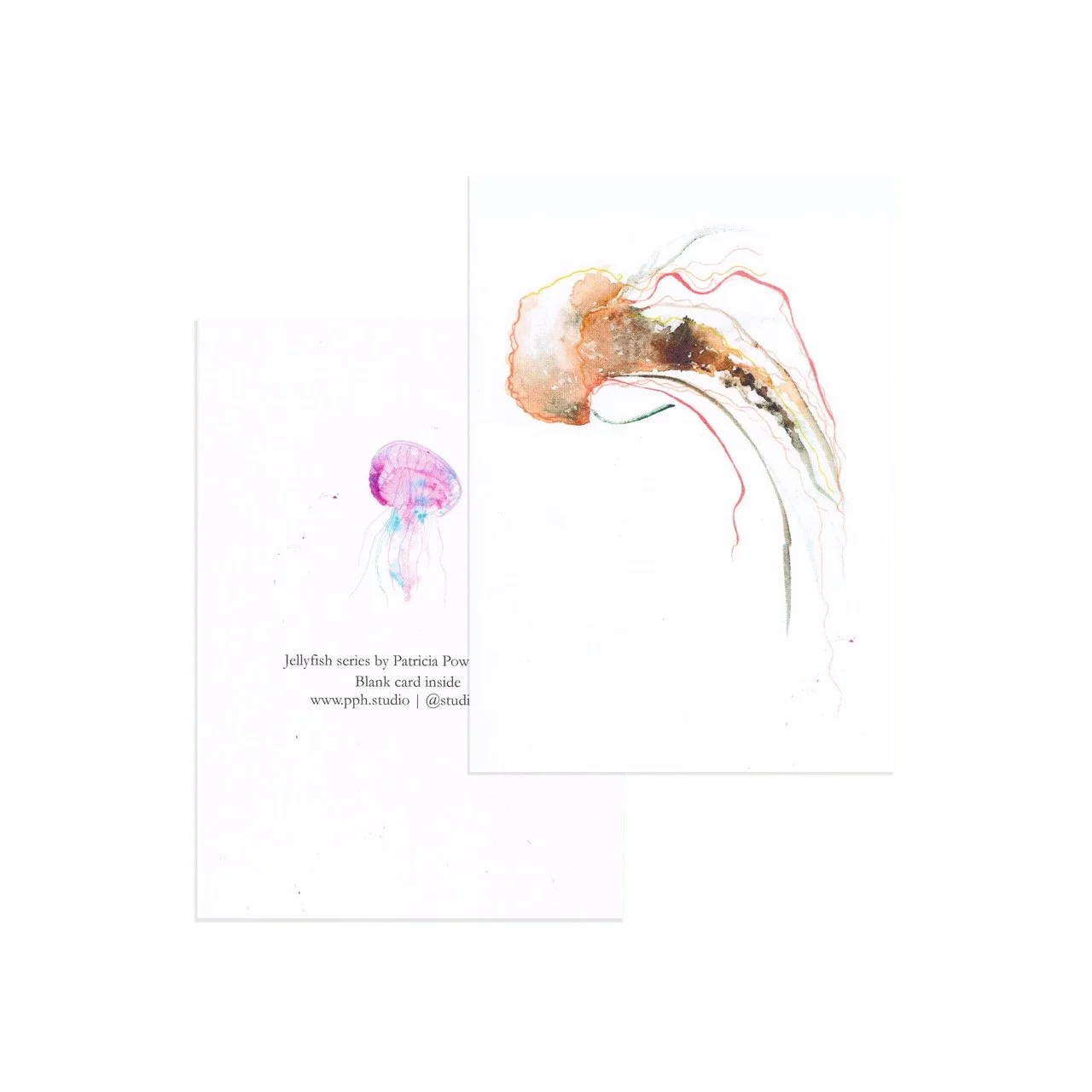 2026_Greeting-Cards_6 [Web]-1 Large.jpeg