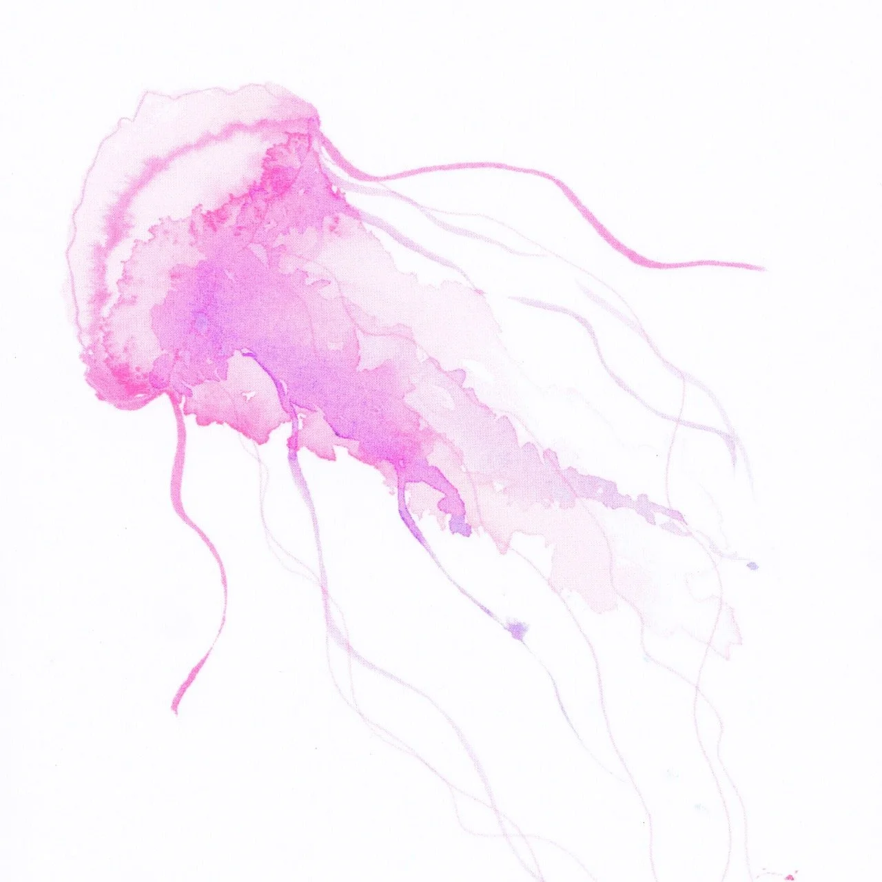 2026_Greeting-Cards_5 [Web-Detail] Large.jpeg