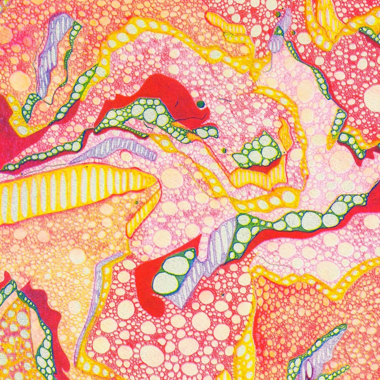 2025_Limestone#2[Web-Detail] Large.jpeg