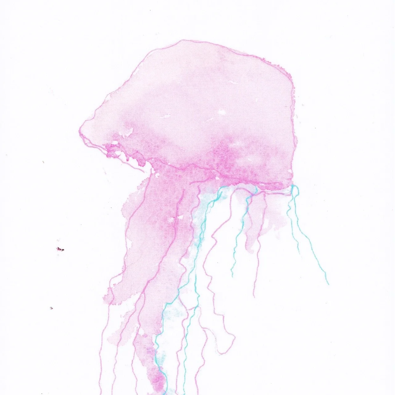 2026_Greeting-Cards_8 [Web-Detail] Large.jpeg