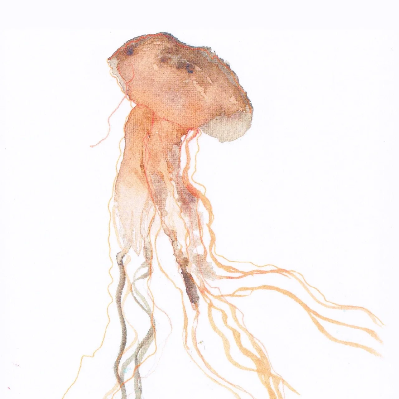 2026_Greeting-Cards_3 [Web-Detail] Large.jpeg