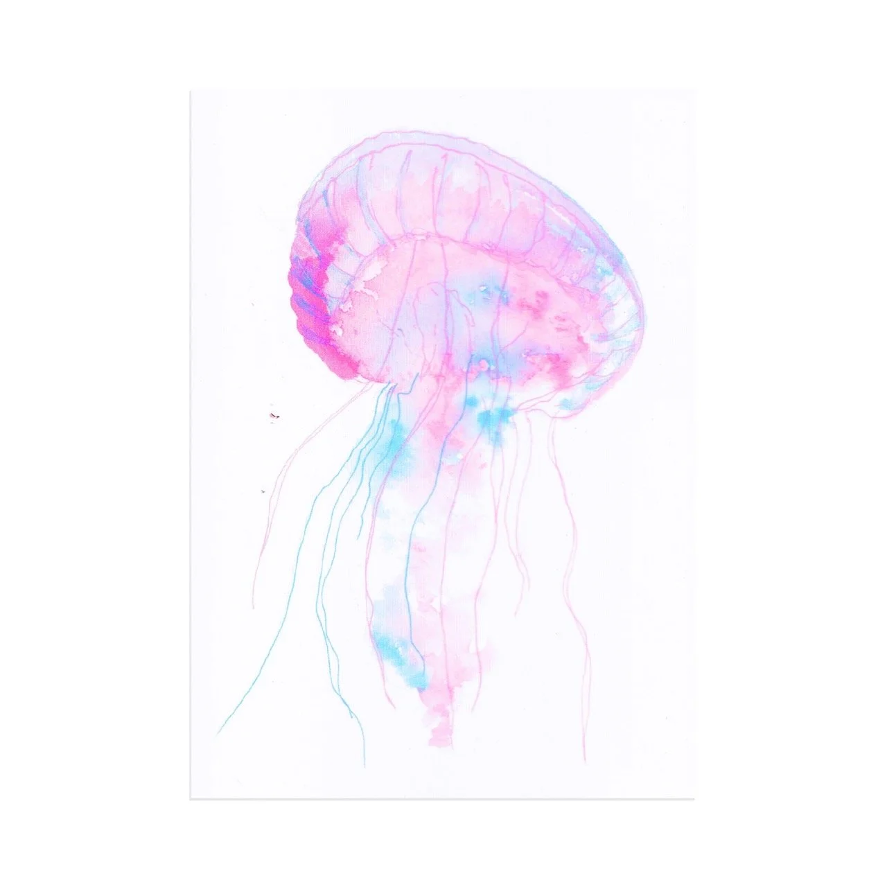 2026_Greeting-Cards_2 [Web] Large.jpeg