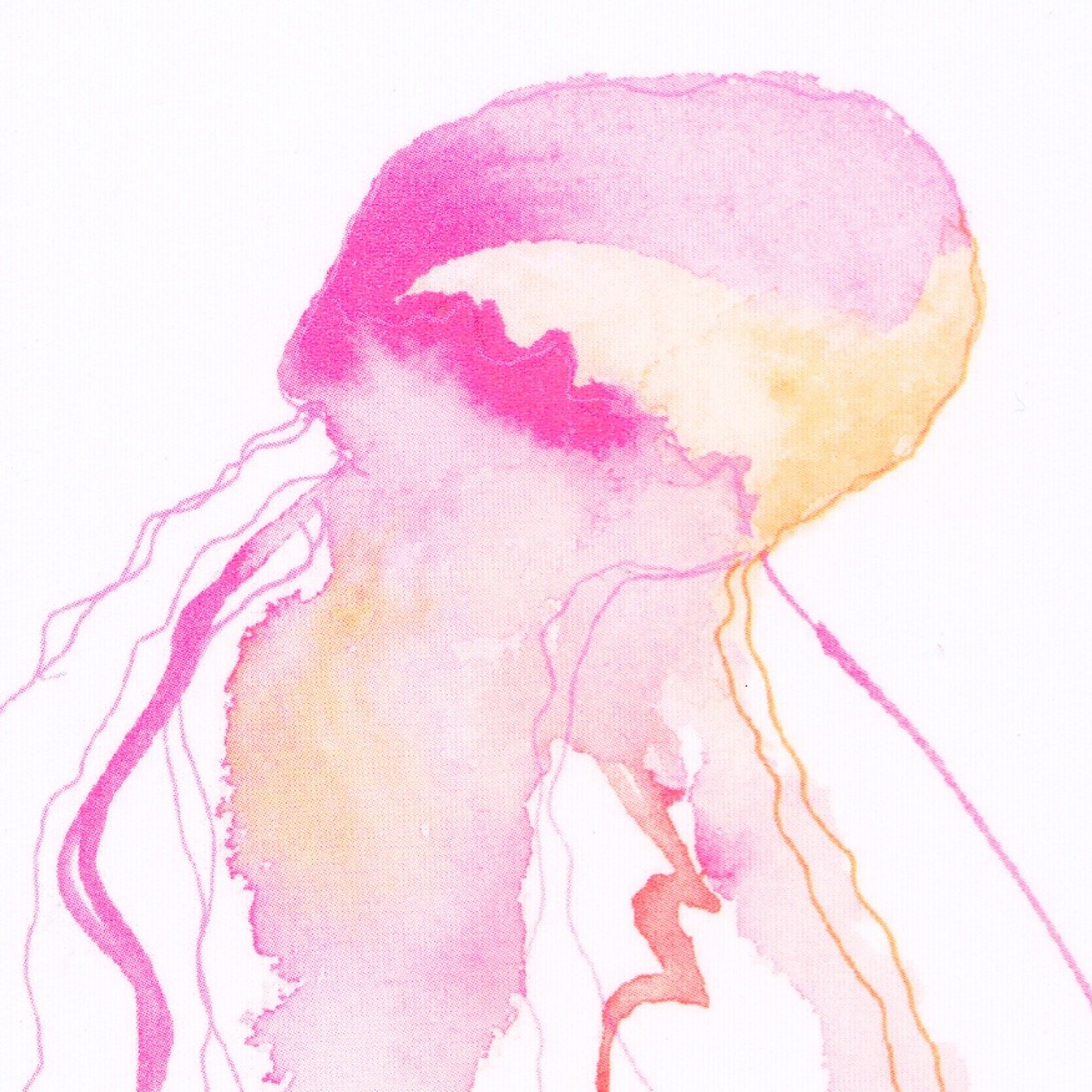 2026_Greeting-Cards_1 [Web-Detail] Large.jpeg