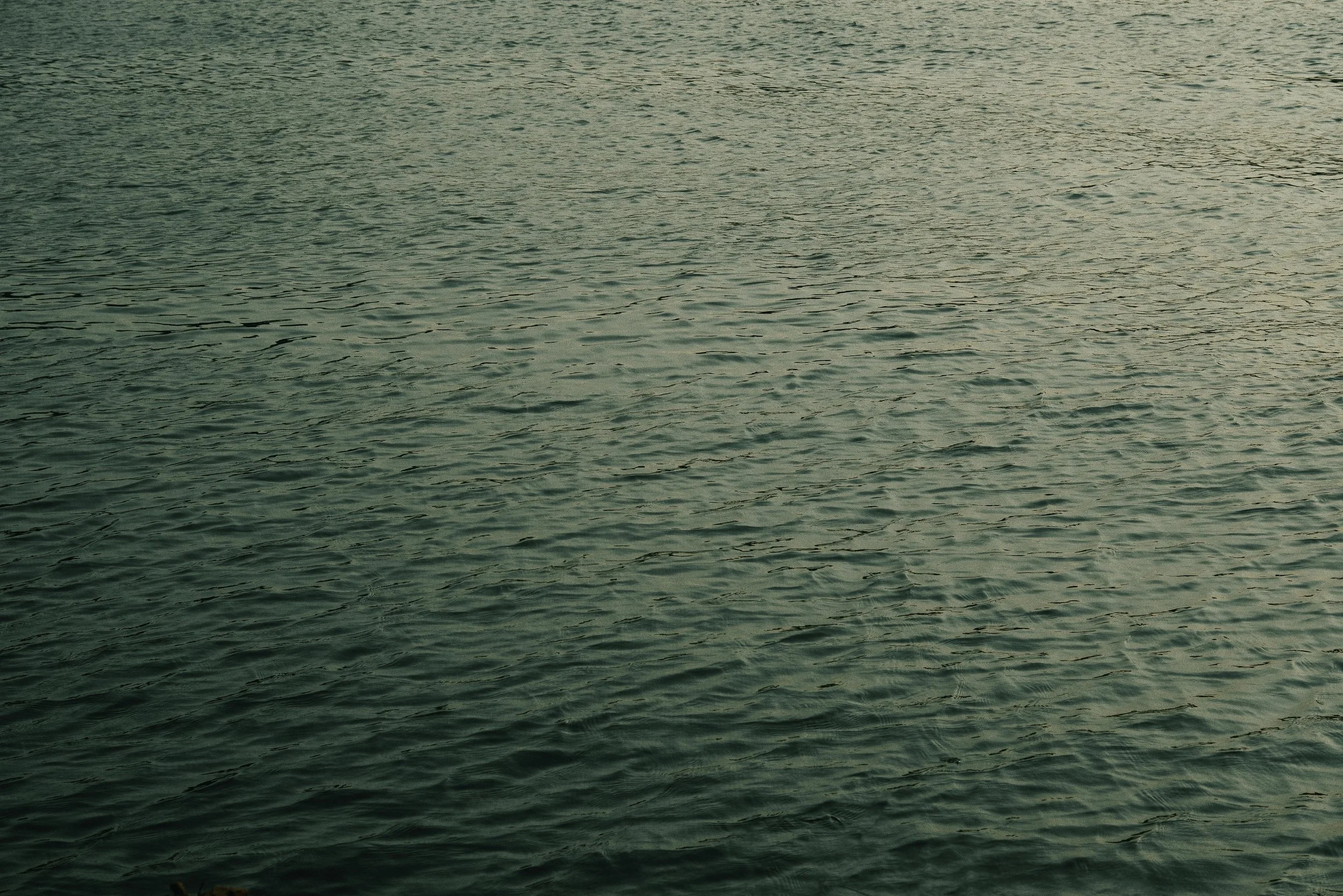 Calm ocean water with gentle ripples under a muted sky.