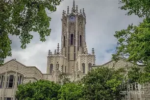 University of Auckland