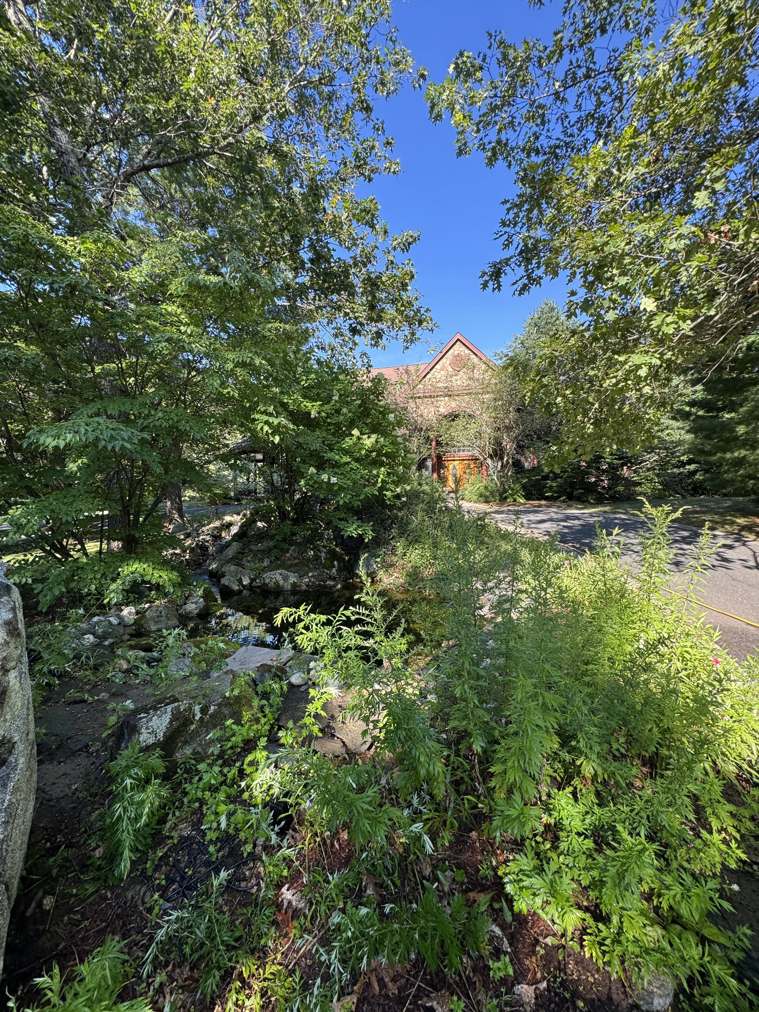 IMG_5842 2.jpg