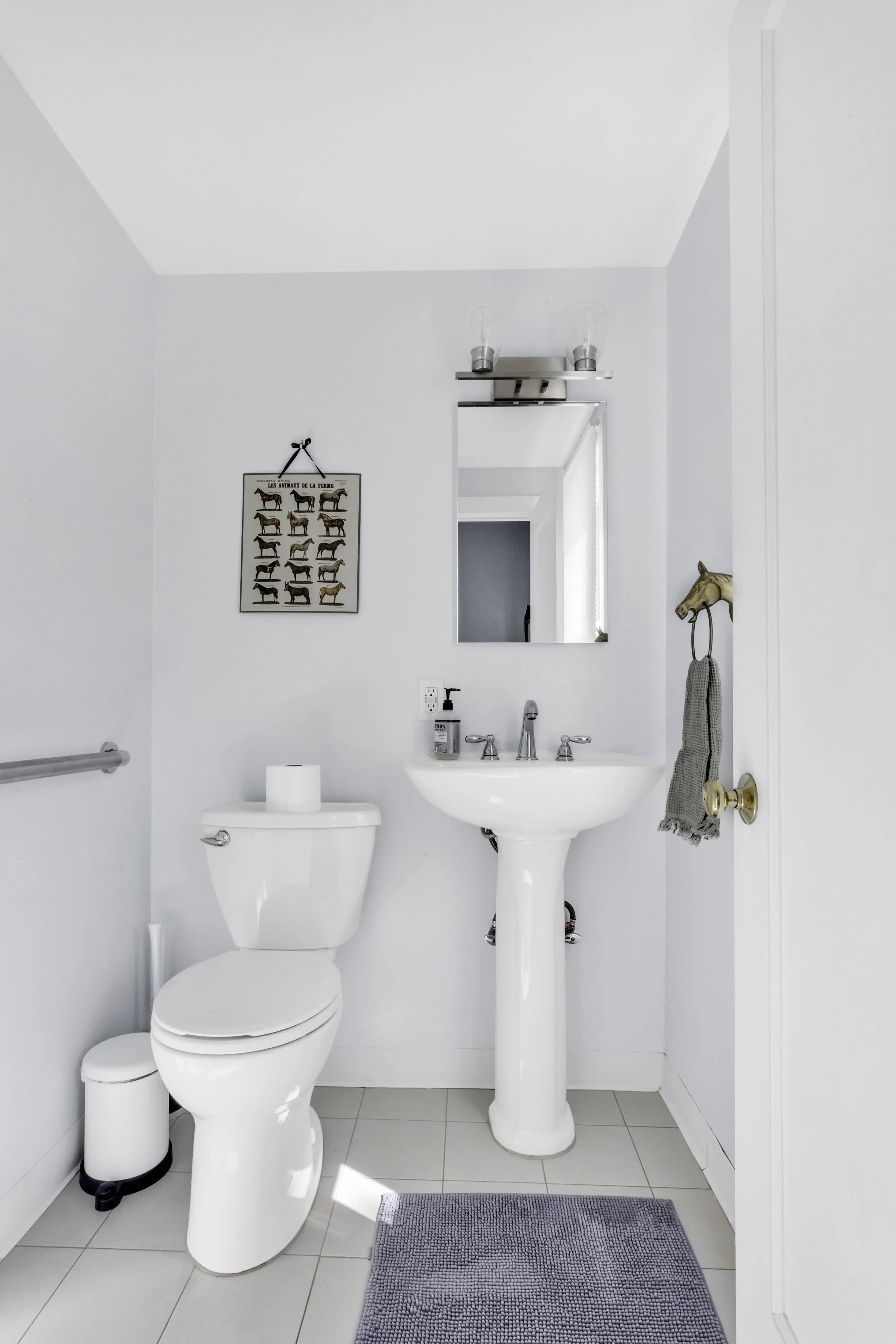 A small bathroom with a white toilet, pedestal sink, mirror, wall hook with a gold horse head, hand towel, and a framed picture of different horse breeds on the wall.