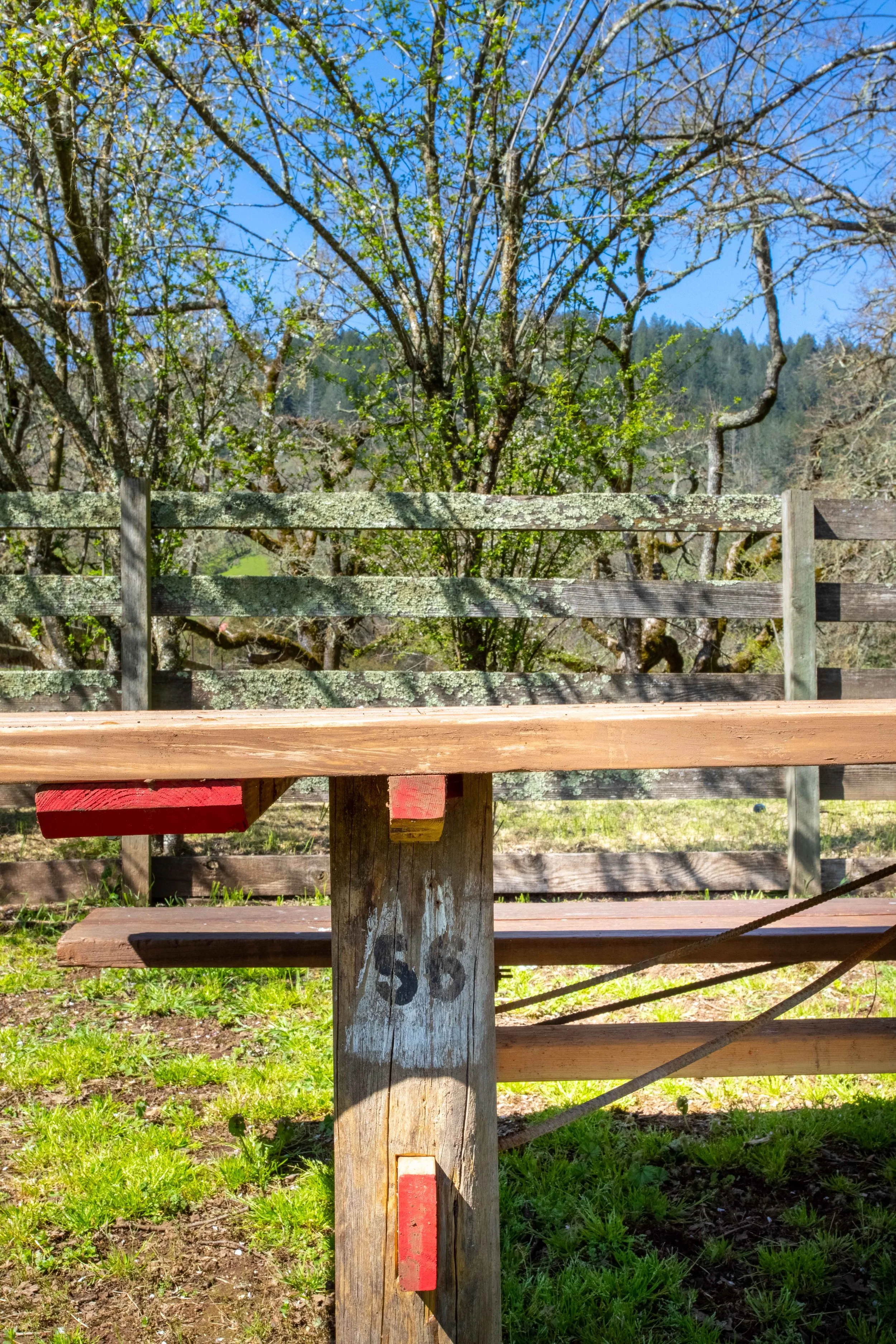 A wooden picnic table outdoors with a background of trees and a blue sky.