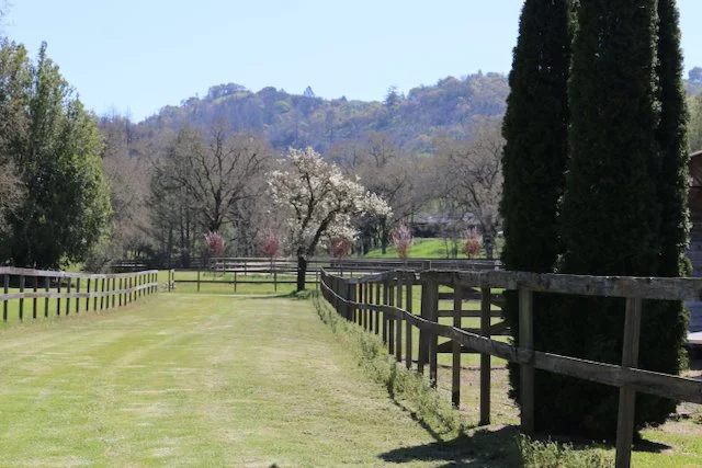 A grassy field bordered by wooden fences with trees and hills in the background.