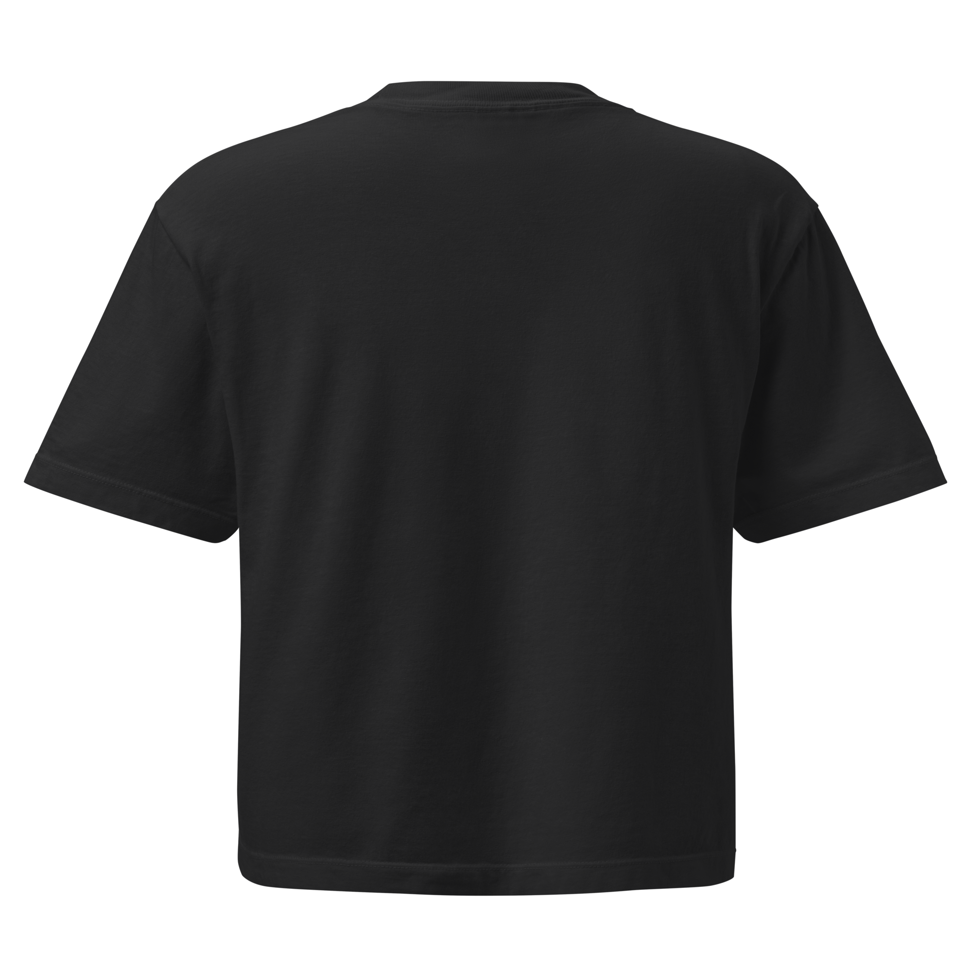 womens-heavyweight-boxy-t-shirt-black-back-693db723f0734.png