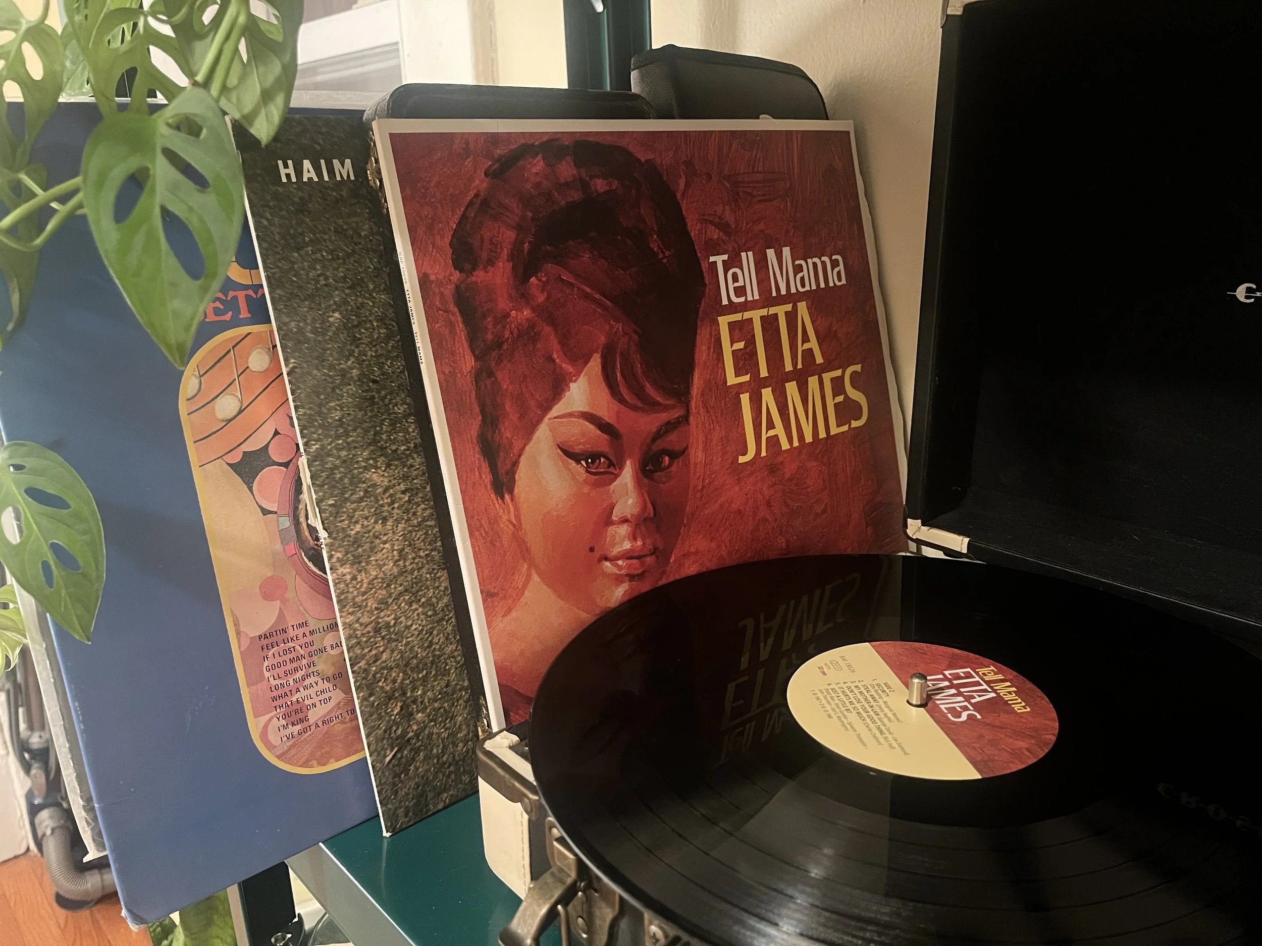 A record player displaying Etta James' Tell Mama record while other records sit next to the player on the shelf. A plant cascades down in front of some of the records.