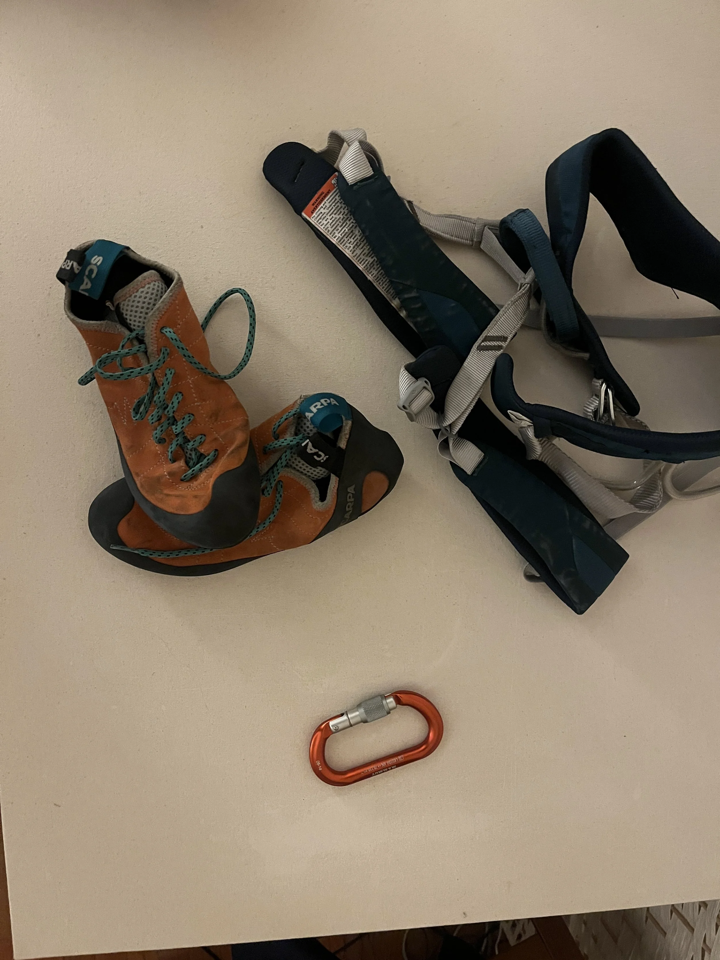 Orange climbing shoes, navy blue harness, and orange carabiner on canvas background.