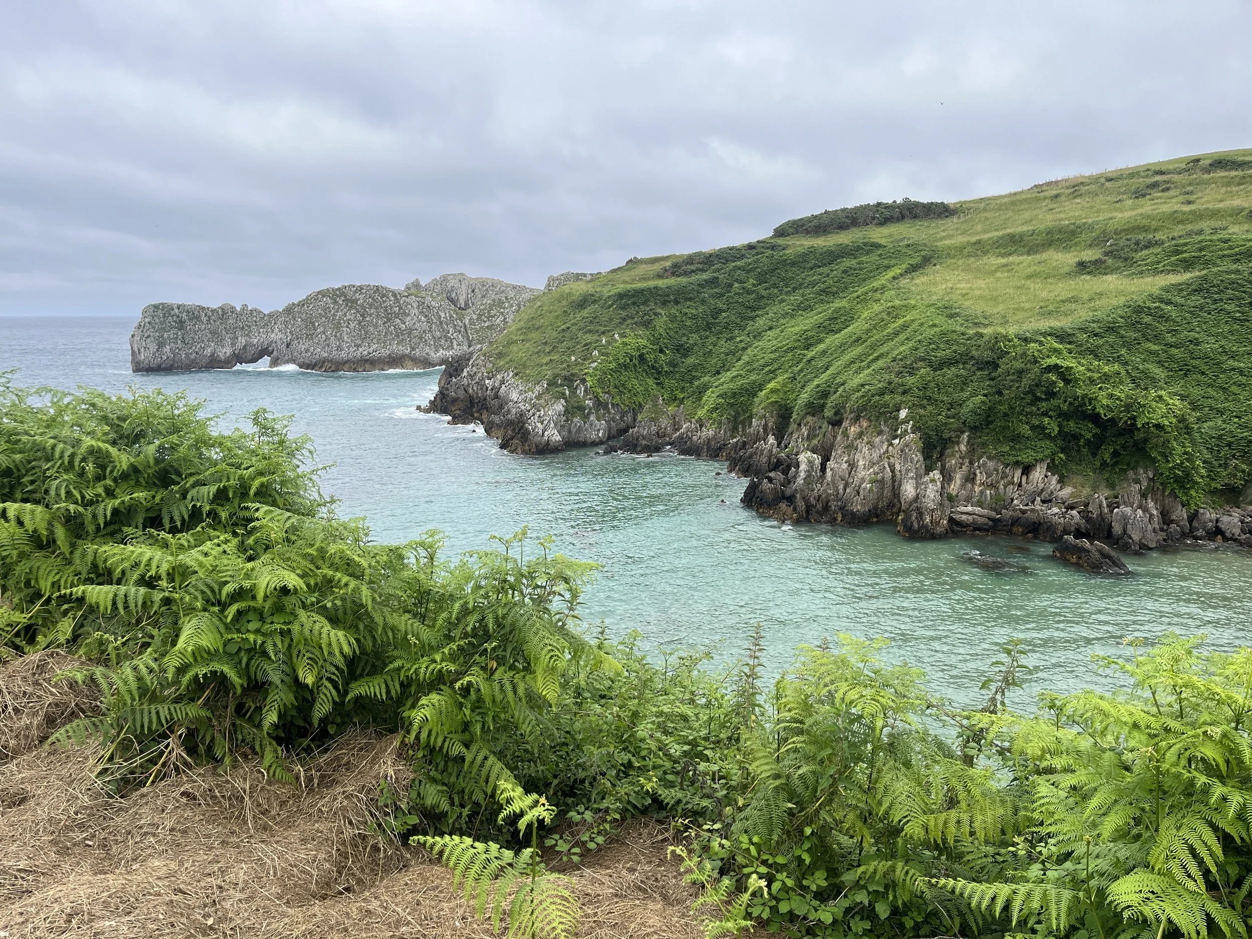 turquoise water between walls of rock which are covered lush greenery