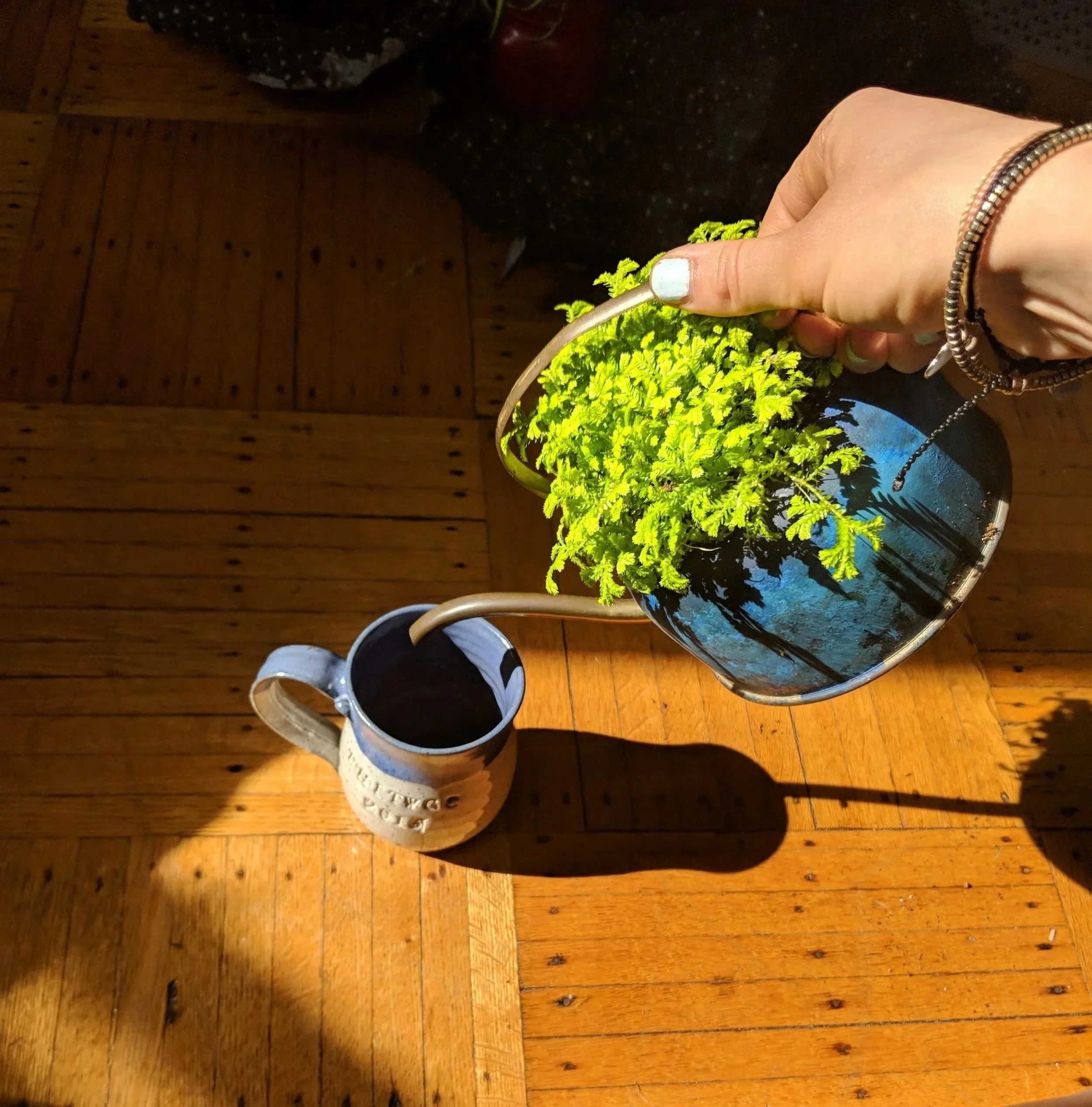 a hand with mint green nail polish "pours" a blue painted teapot filled with a bright green fern into a purple and beige mug which is set on a sunlit and shadowy wooden surface.