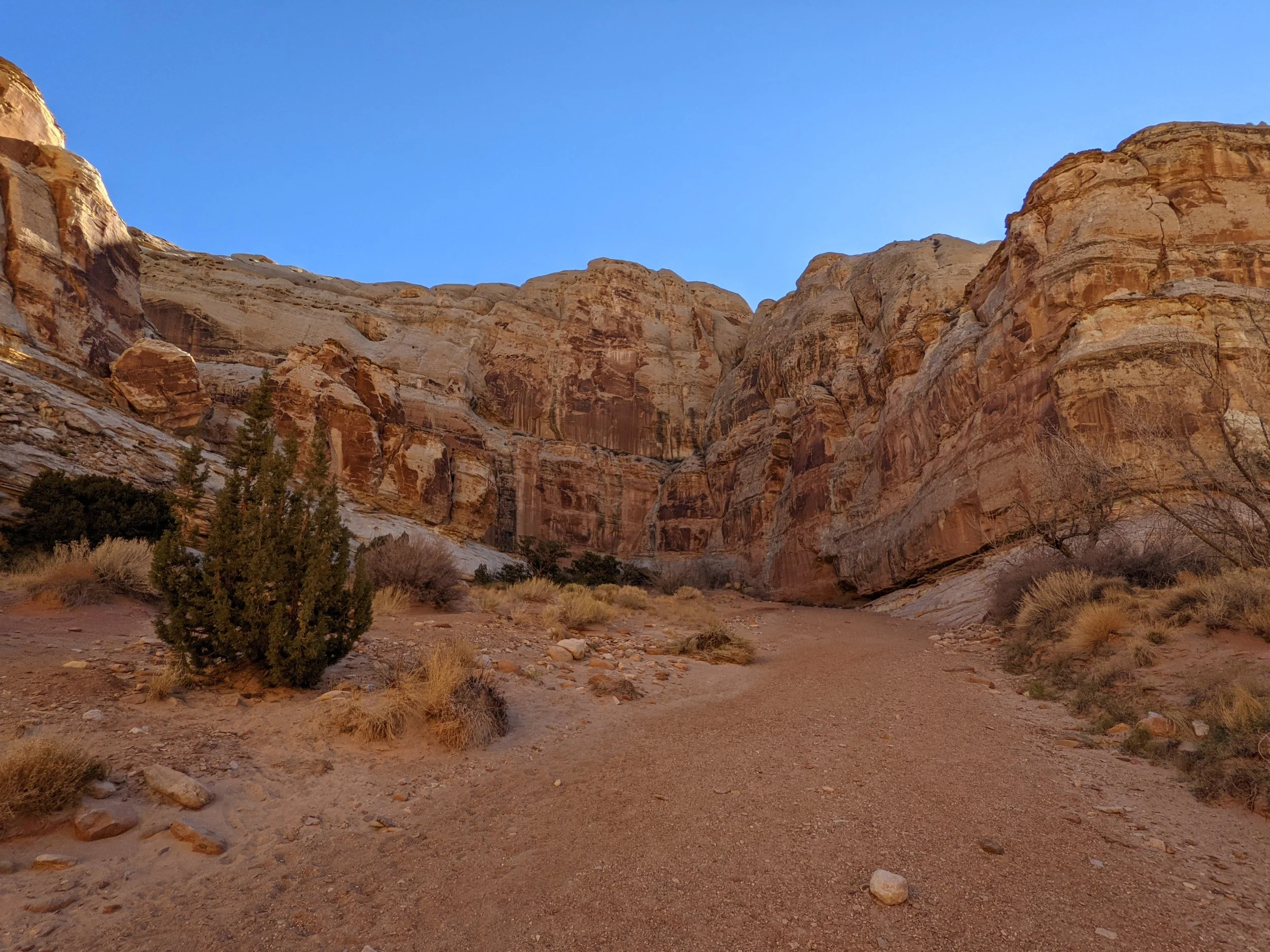 Red Rock walls in Southern Utah framed by a clear blue sky above and sandy desert plant life below.