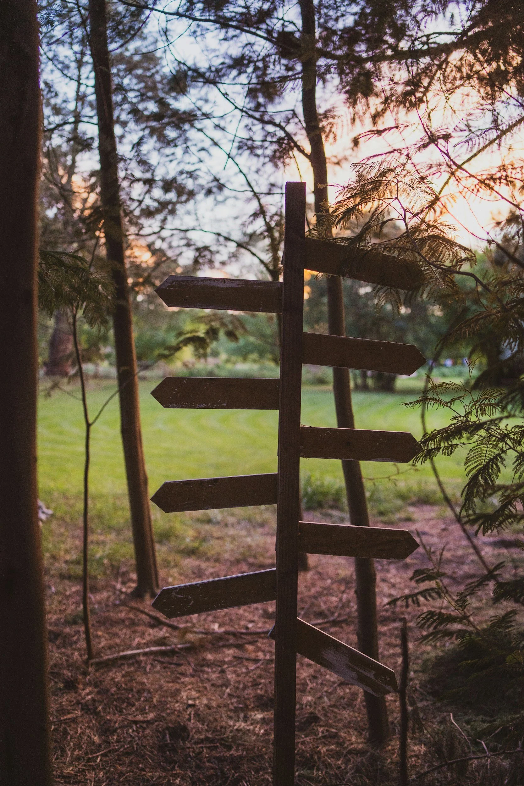 A wooden signpost with multiple directional arrows is situated outdoors among trees, with a sunset or sunrise sky in the background.