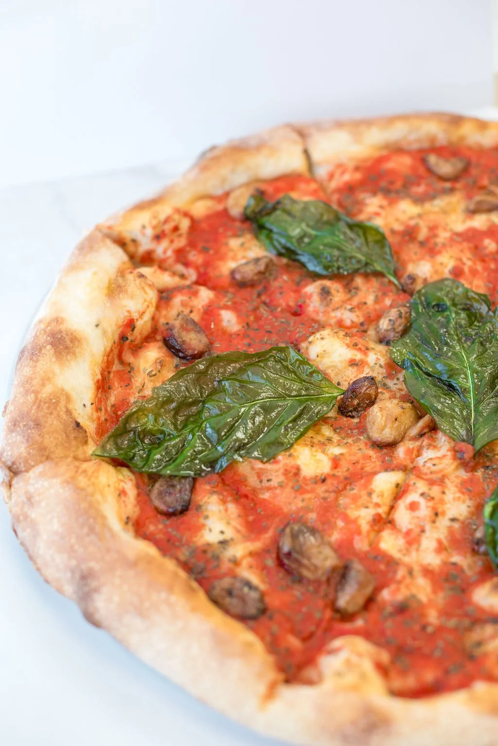 Marinara Speciality Pizza