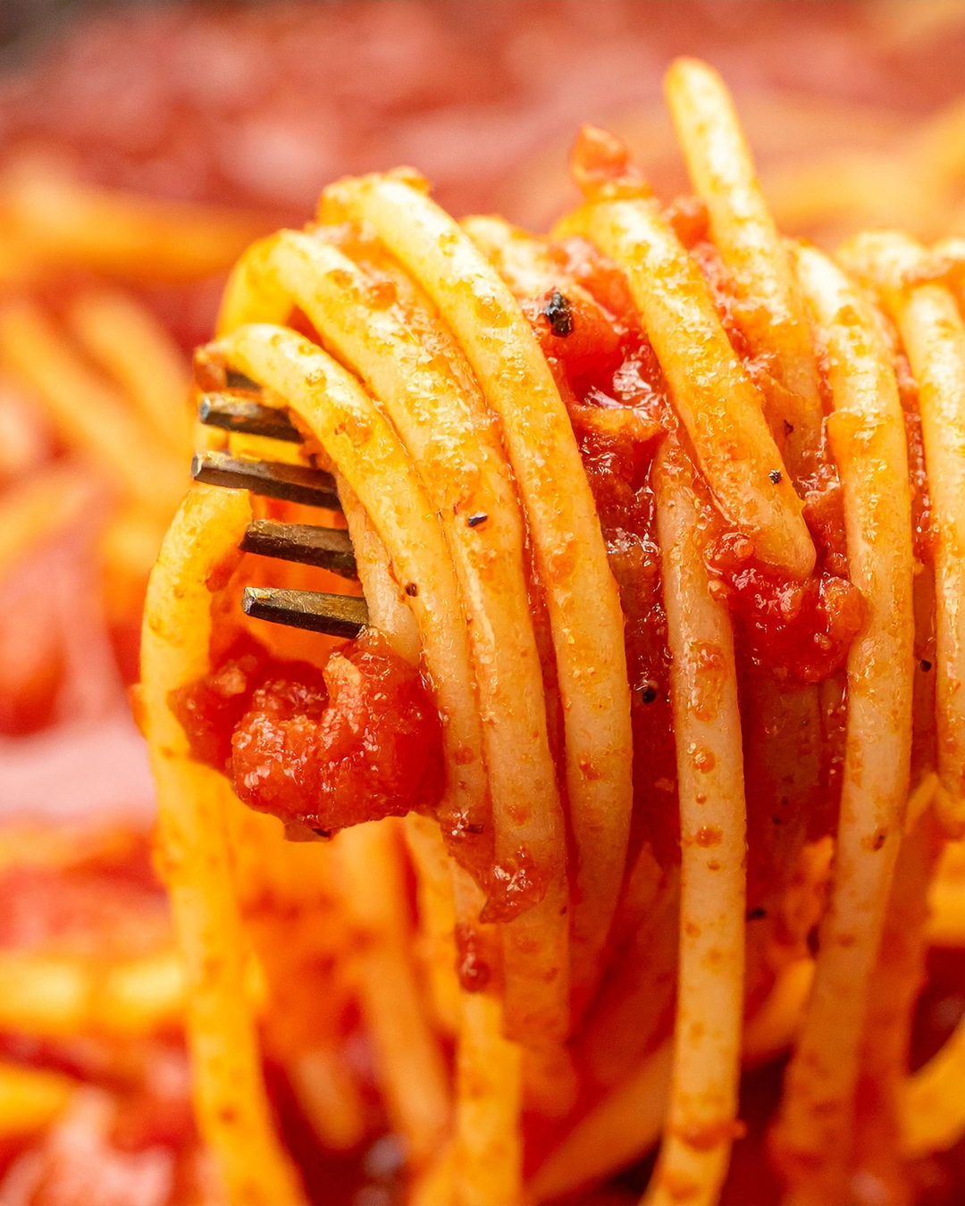 spaghetti.png