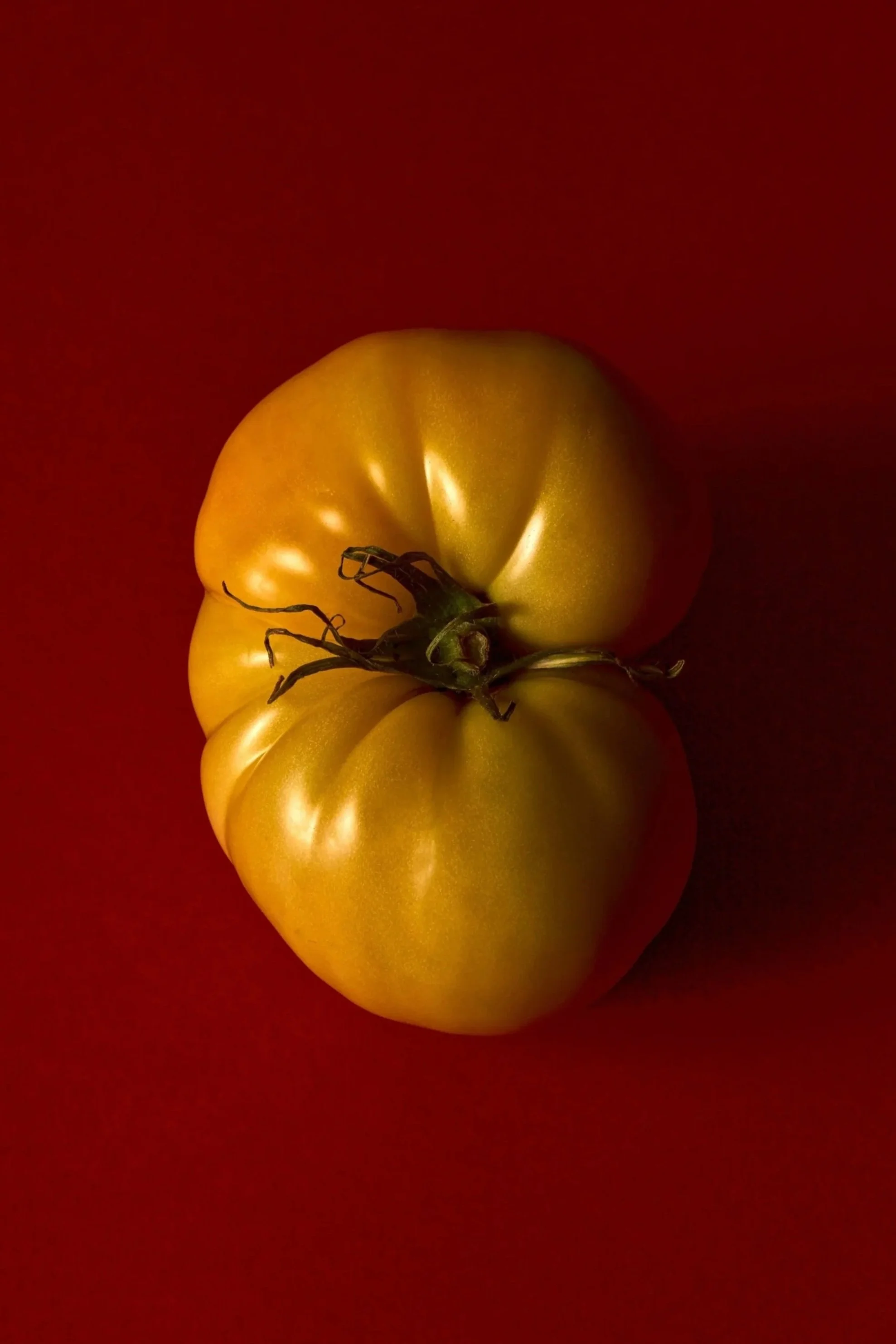 A ripe yellow tomato with a green stem on a red background.