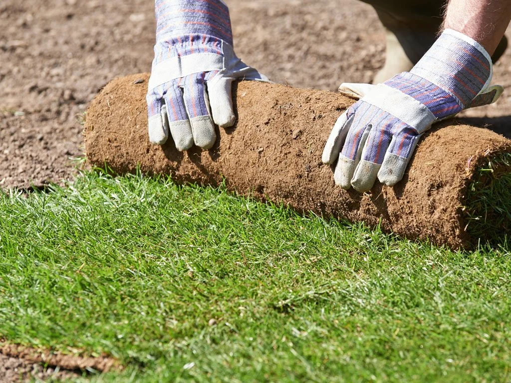 What Is the Best Time of Year to Install Turf in South West WA?