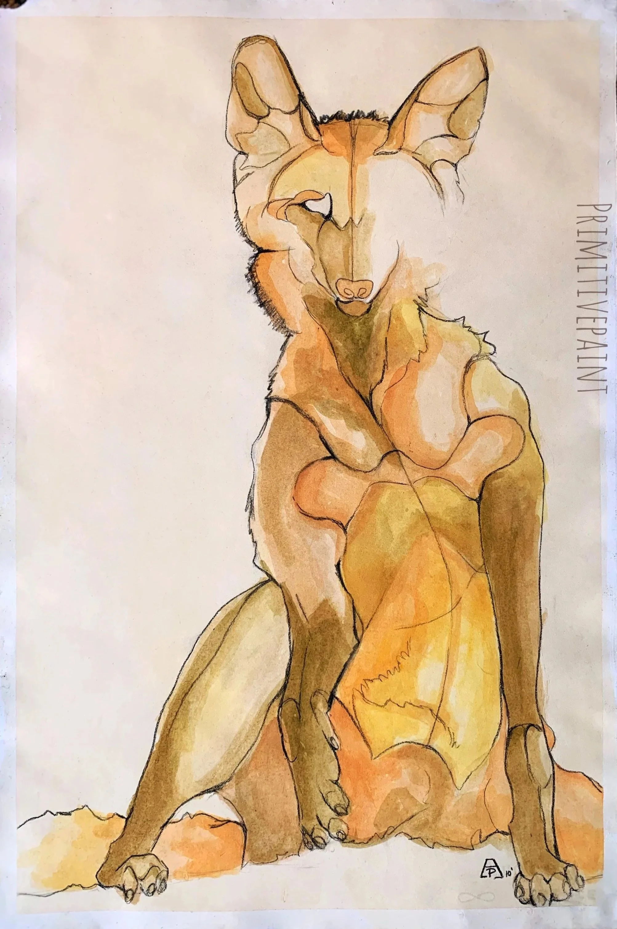 Maned Wolf study 22"x30" Charcoal on BFK paper SOLD