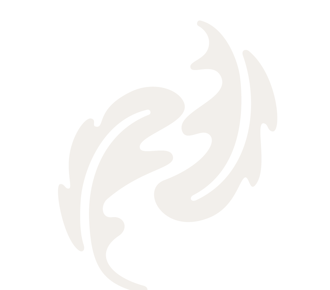Stylized illustration of three beige feathers on a black background.