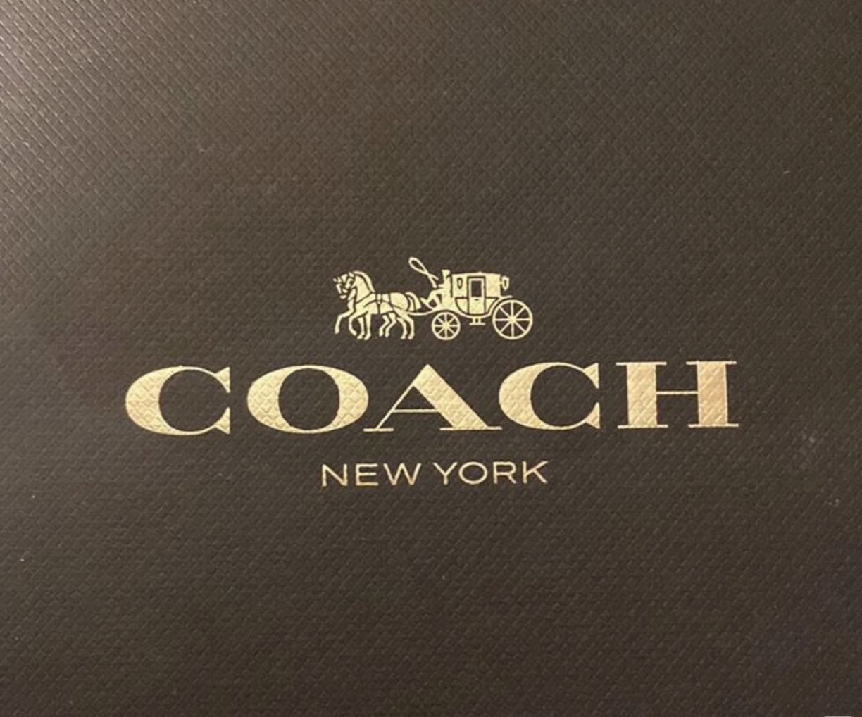 Coach Luxury