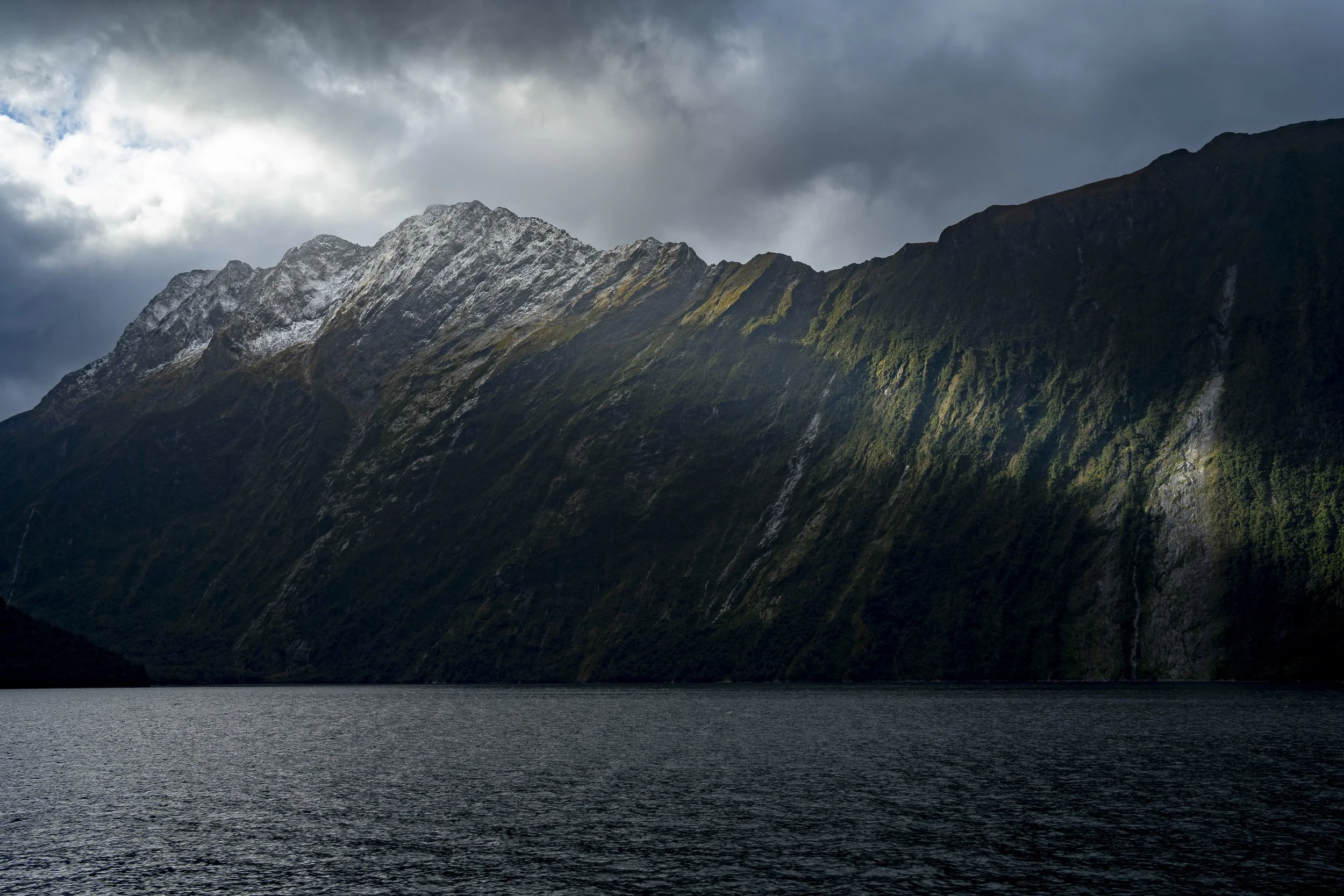 Fiordland Rays, NZ