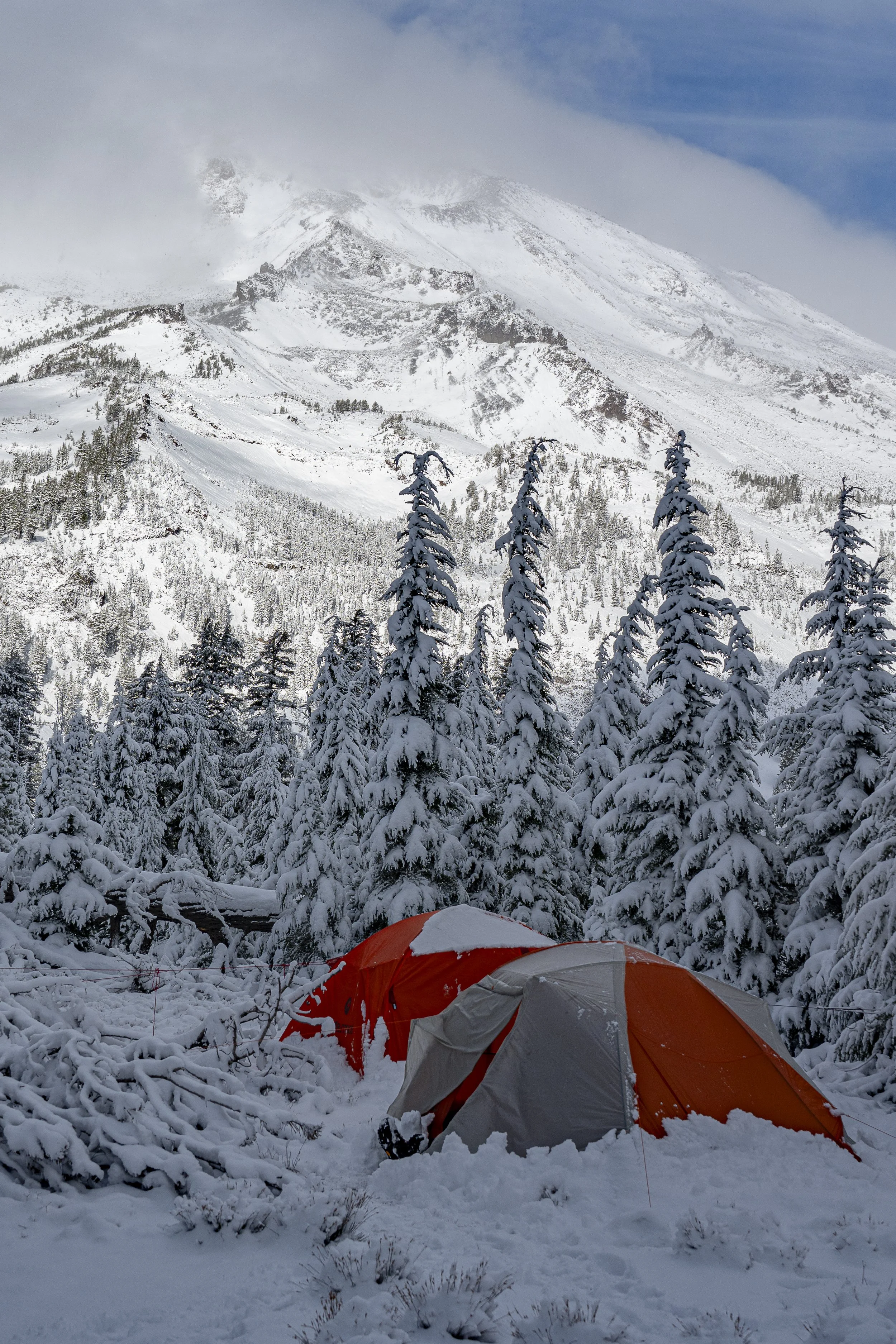 Portrait Print 11x14