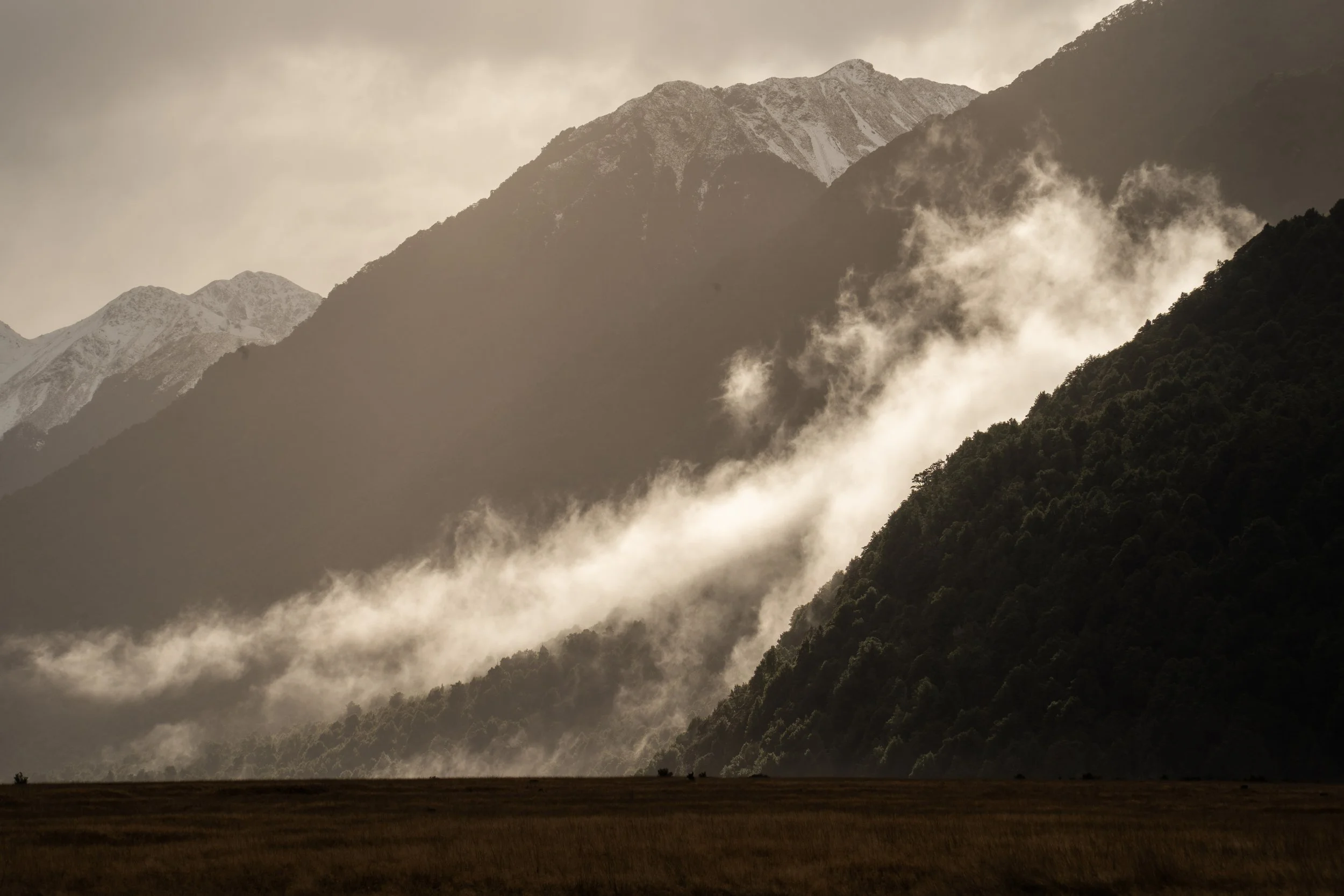 Early Morning in Fiordland, NZ