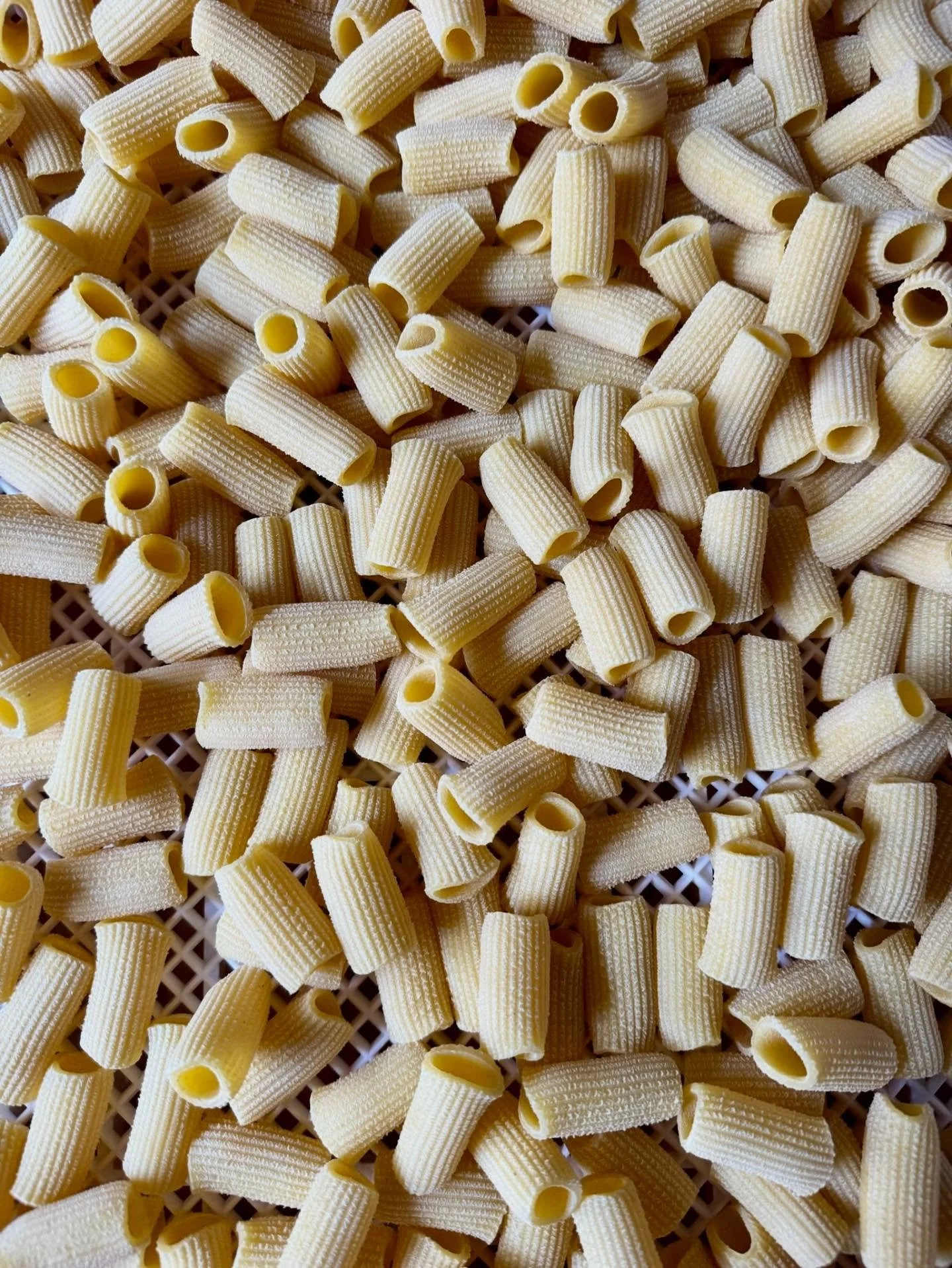 Happy Tuesday people 🎉 we getting ready for you&hellip;

#rigatoni #extrudedpasta #seattlepasta #seattlerestaurants