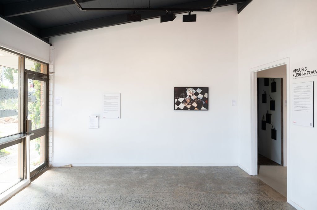 Venus8ExhibitionDocumentation-13.jpg