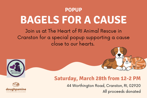 The Heart of RI: Bagels For a Cause