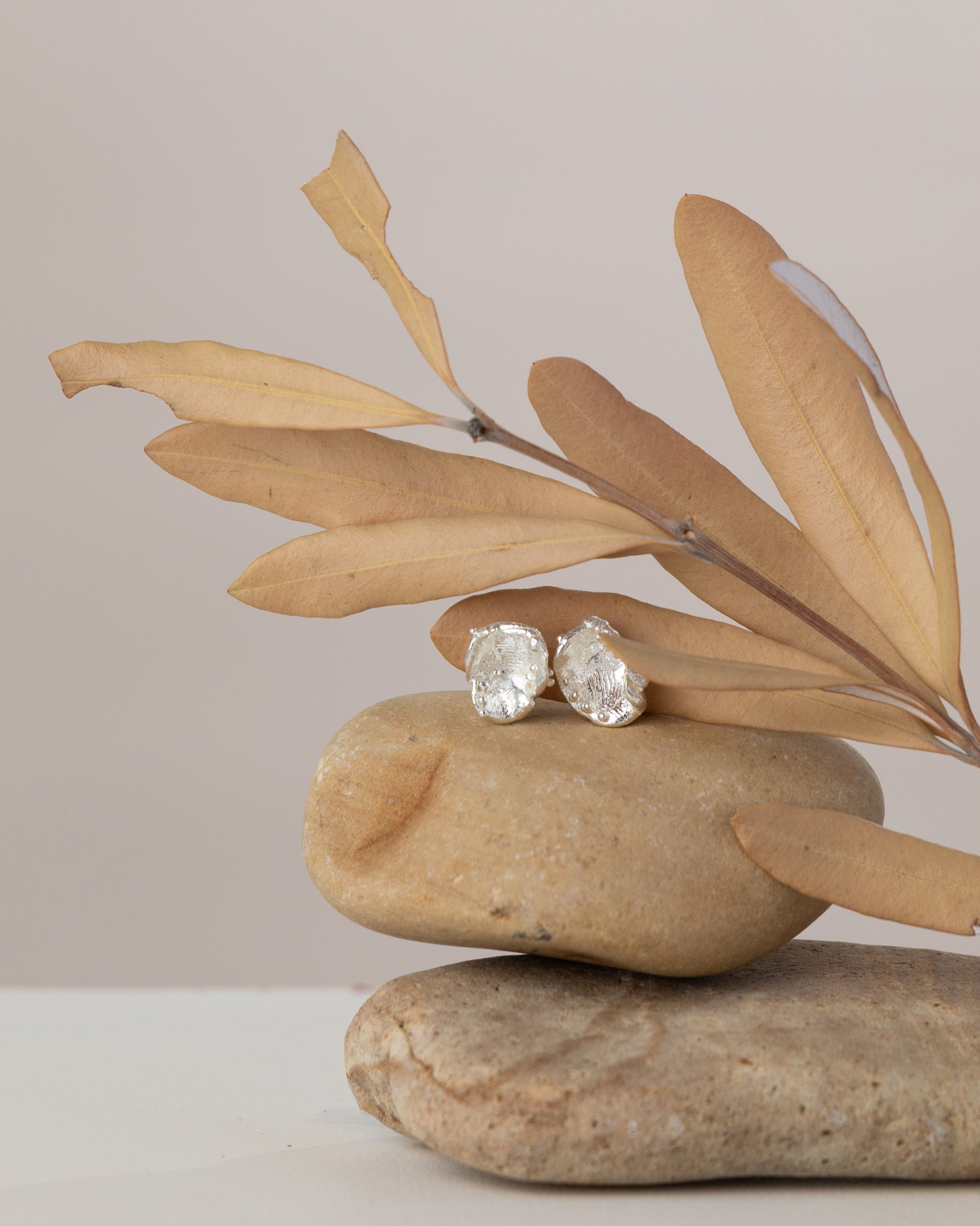 Emma Field Clam Studs