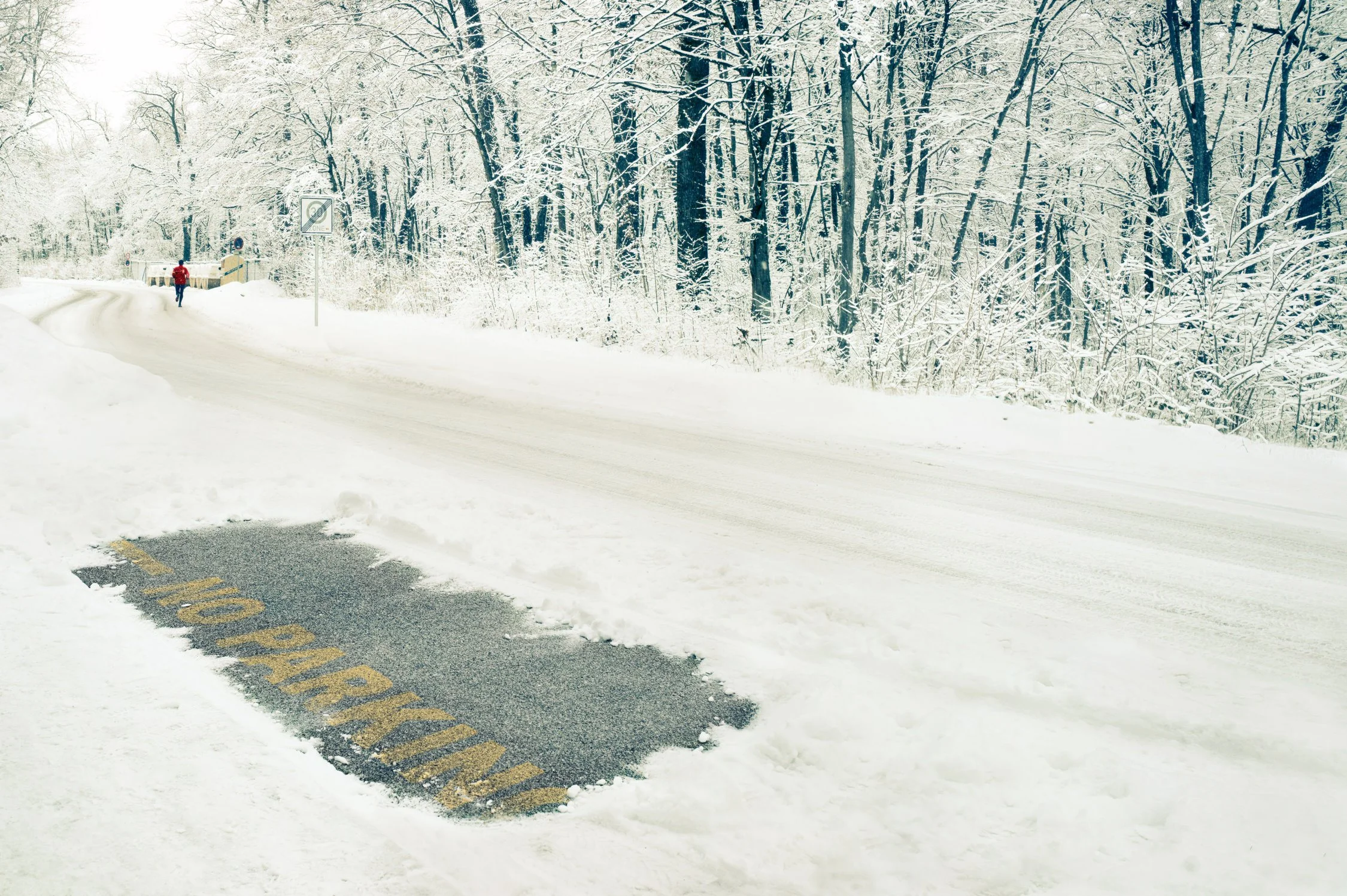 101225_xmas_F2-GS Folio 2250-2.jpg