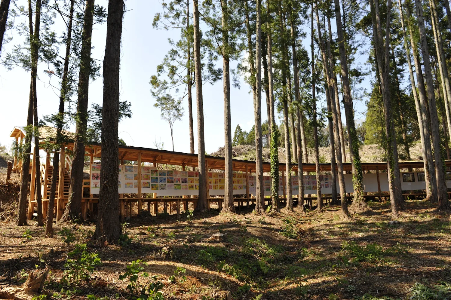 Wooden structure with artwork display panels is set among tall trees in a forest.