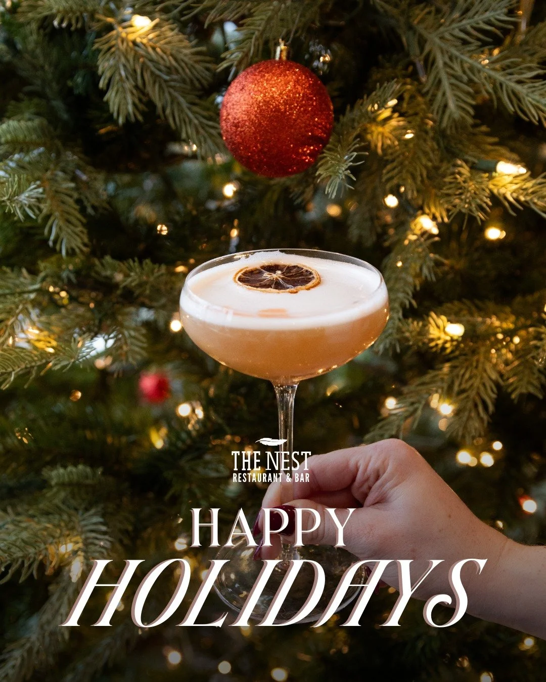 Wishing y&rsquo;all a happy holiday from The Nest! 🎁

Here&rsquo;s to cozy gatherings, shared plates, and the joy that comes from being together.