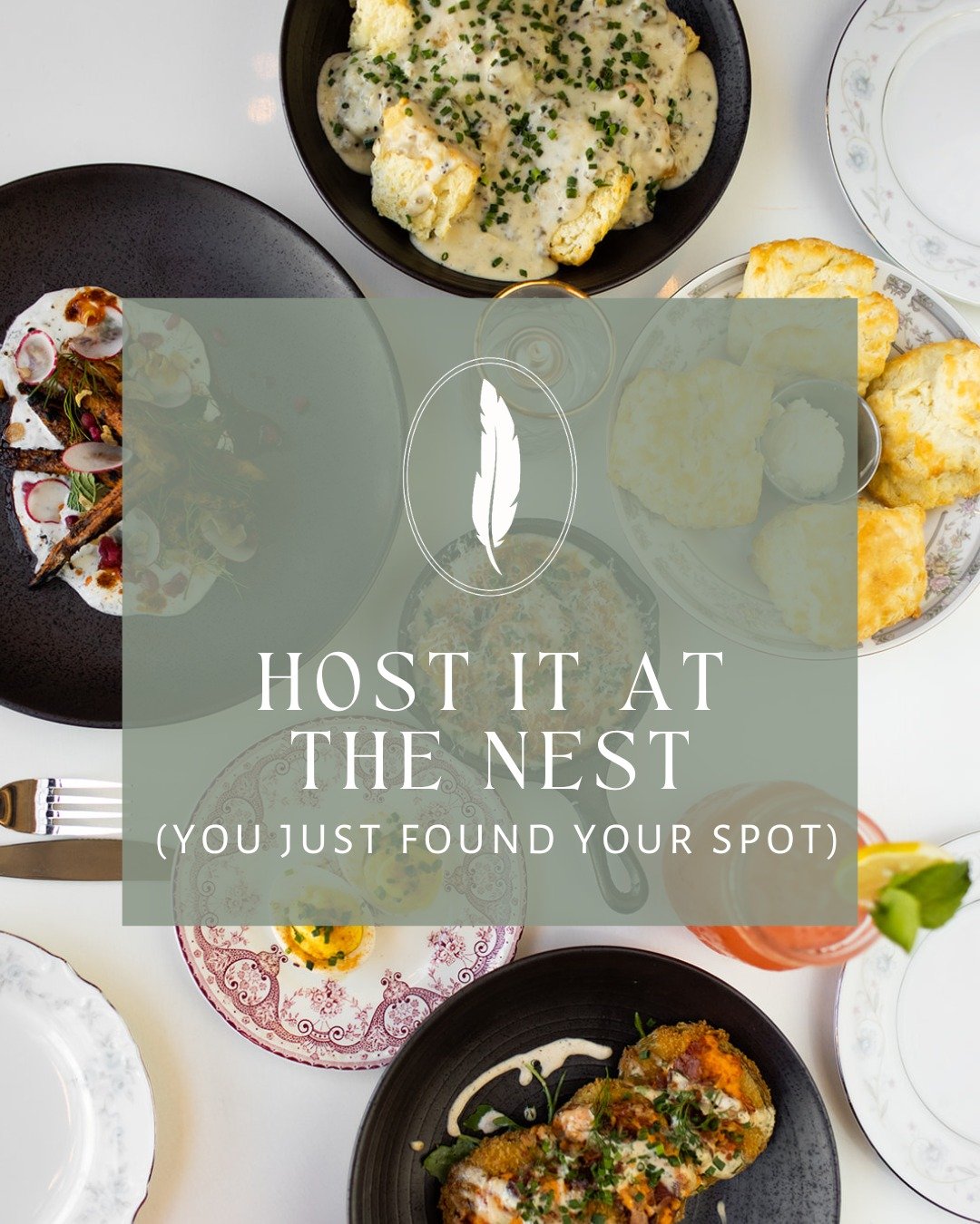 Looking to host an event? You&rsquo;ve found THE right NEST! 🐣

Let us help you make it unforgettable, contact us today to learn more!