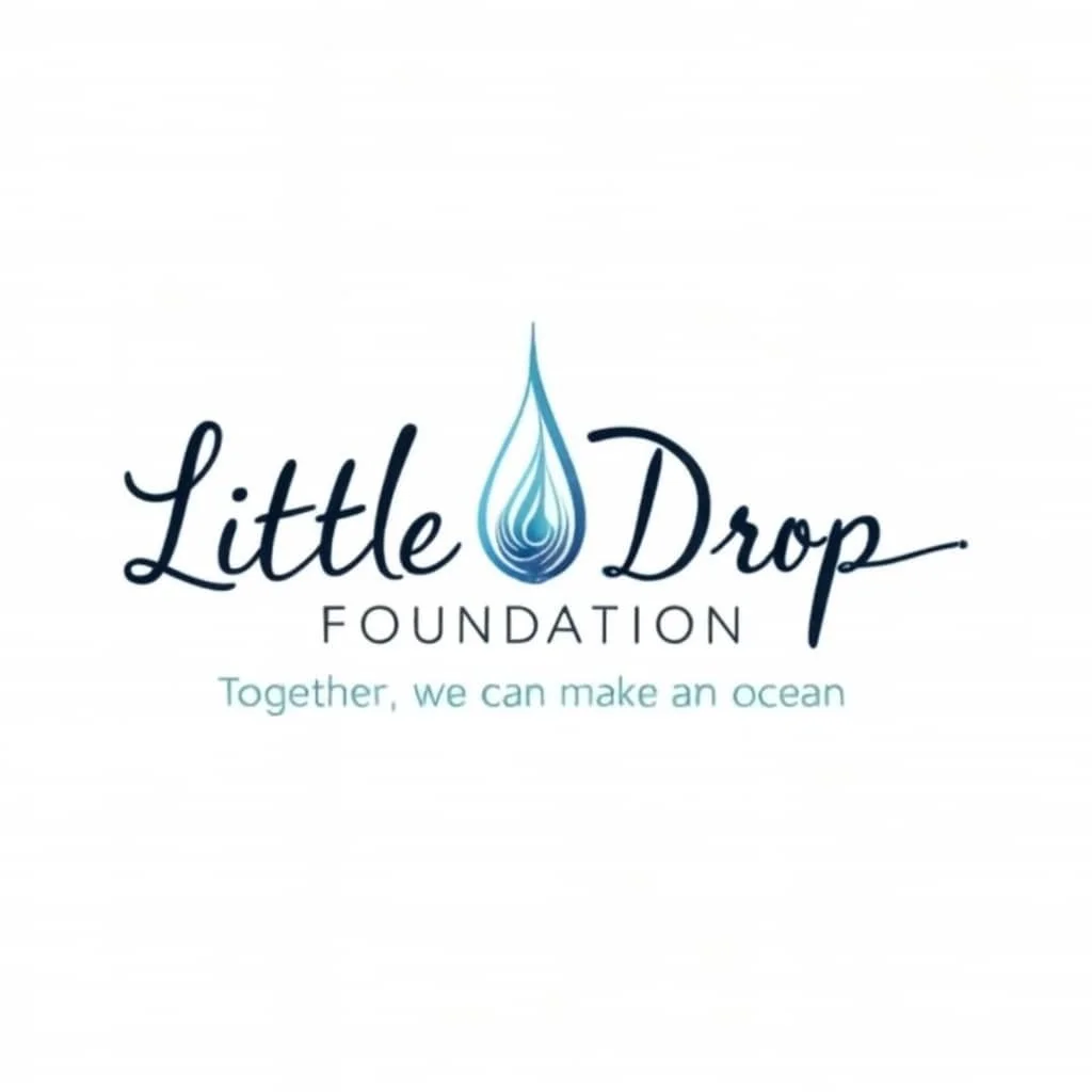 Little Drop Foundation 